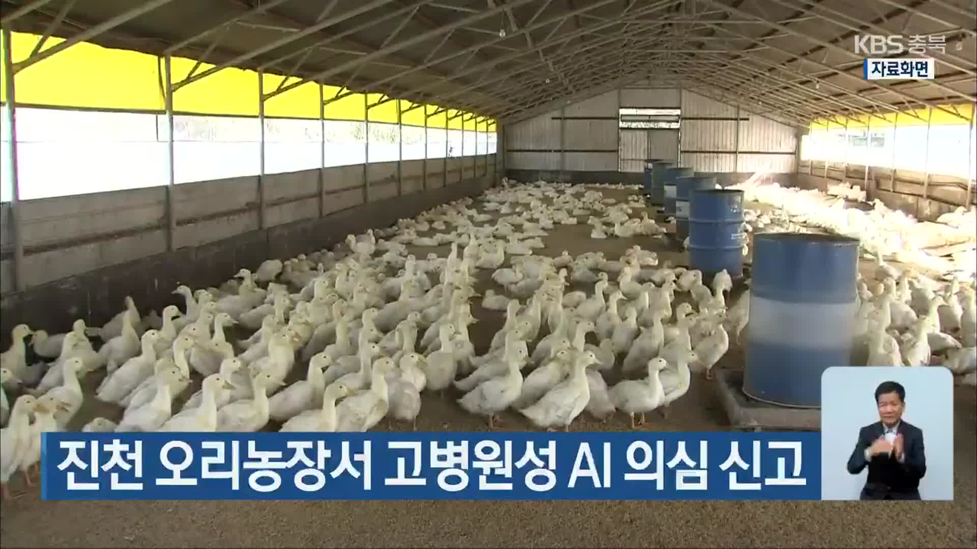 진천 오리농장서 고병원성 AI 의심 신고