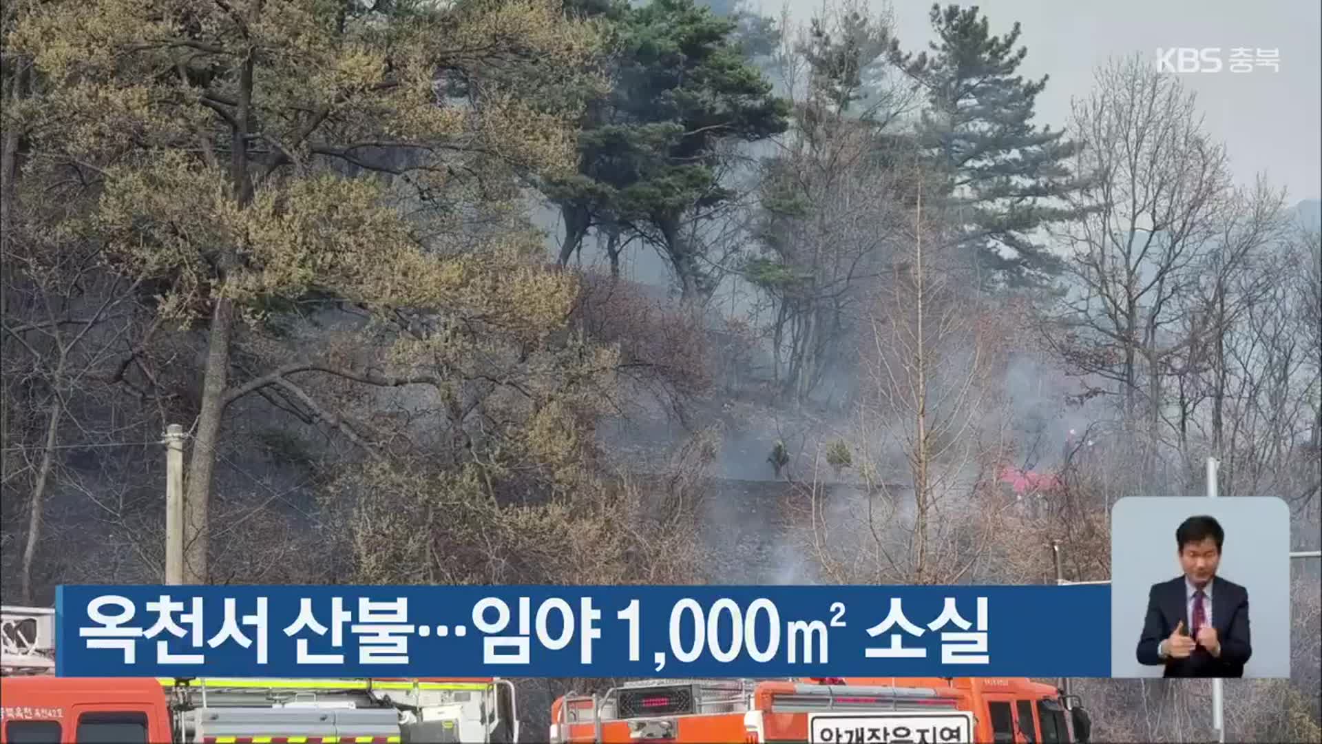 옥천서 산불…임야 1,000㎡ 소실