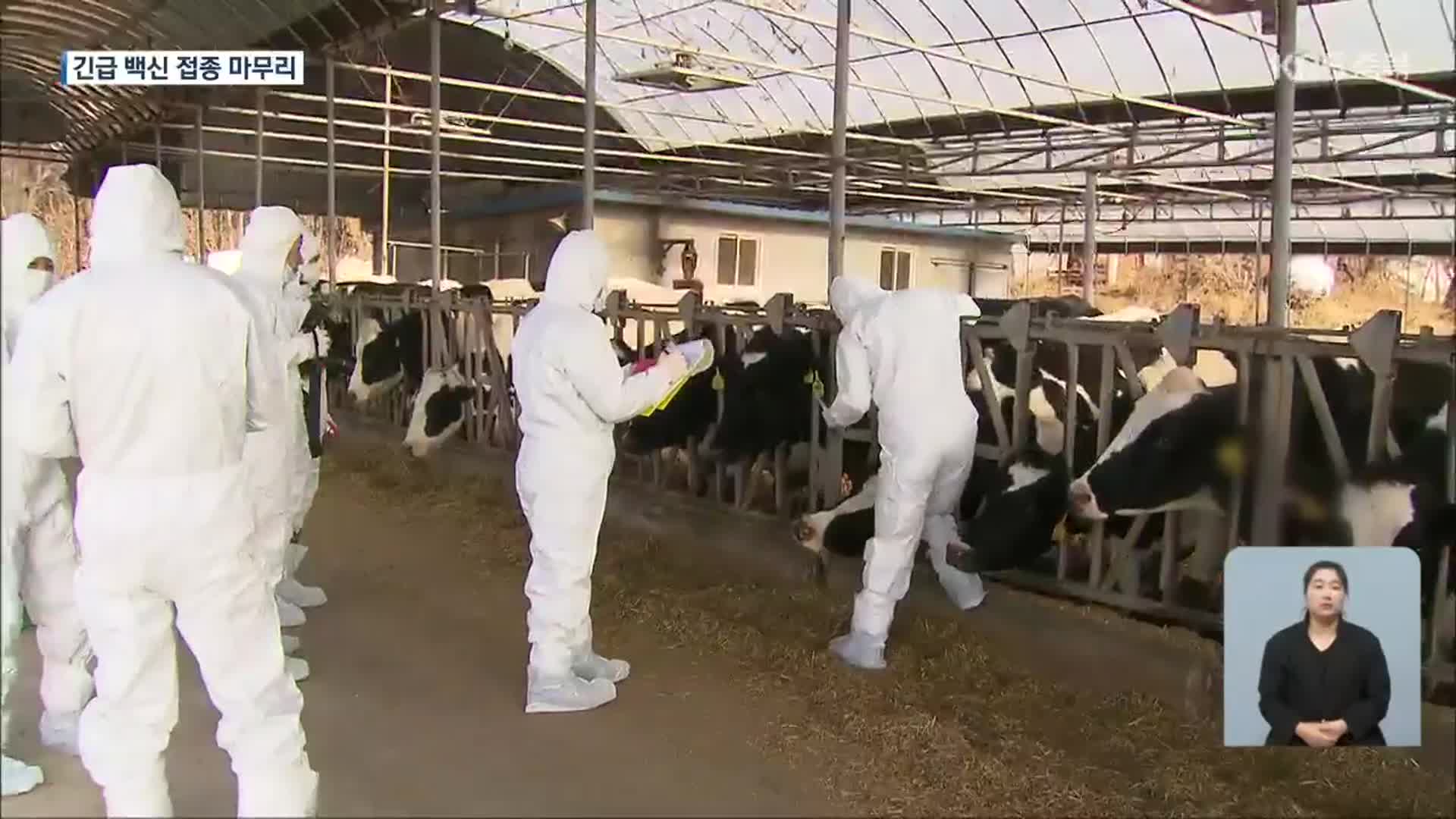 구제역 확산세 주춤…“확산 차단 총력”