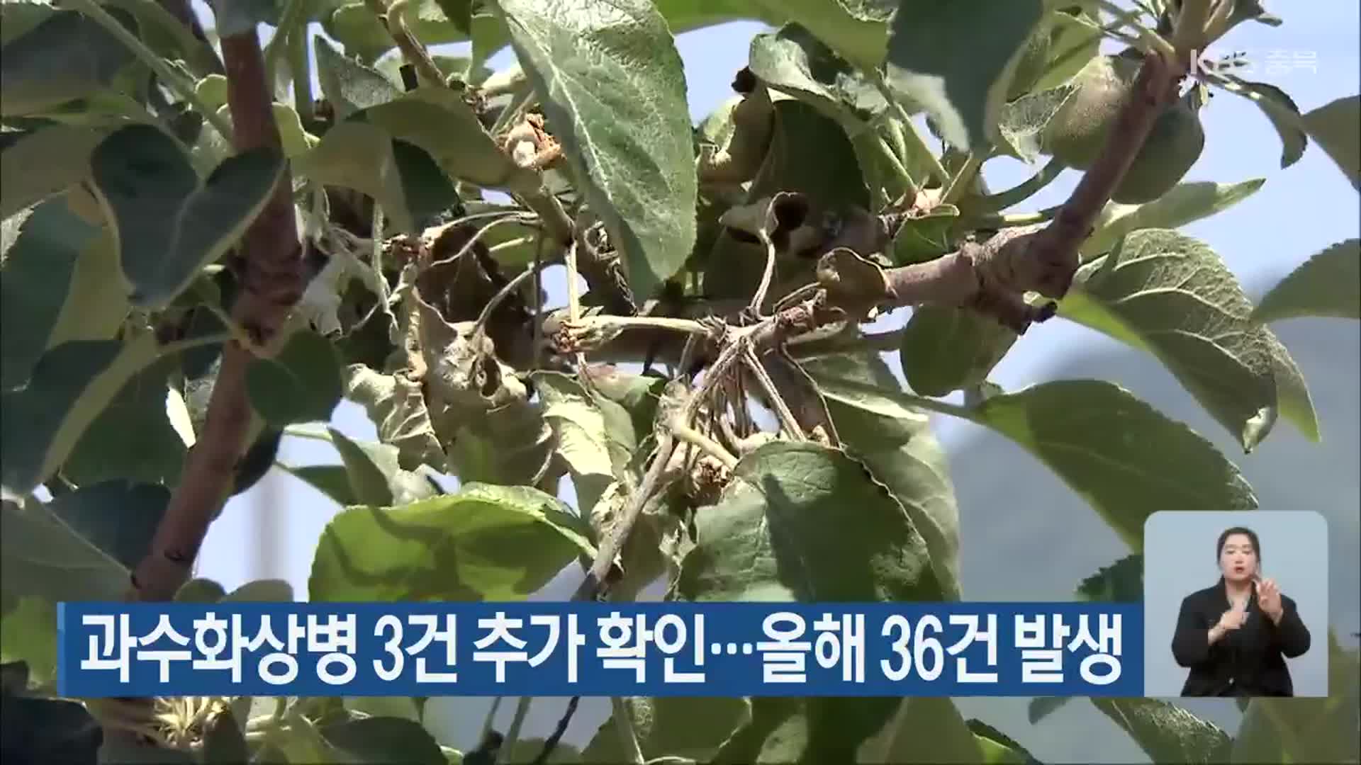 충북 과수화상병 3건 추가 확인…올해 36건 발생