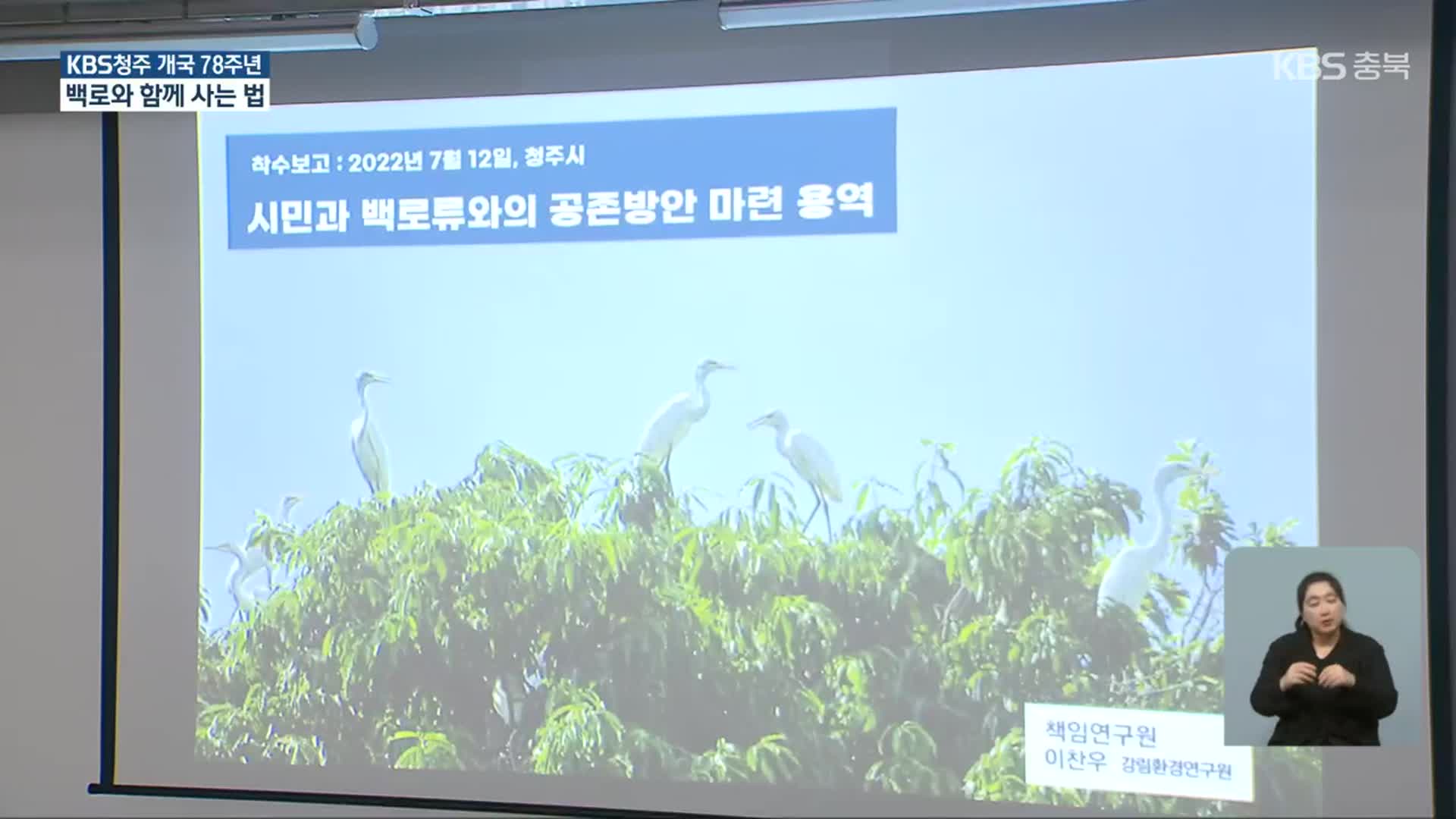 백로와의 공존 모색…“서식지 관리·보존”