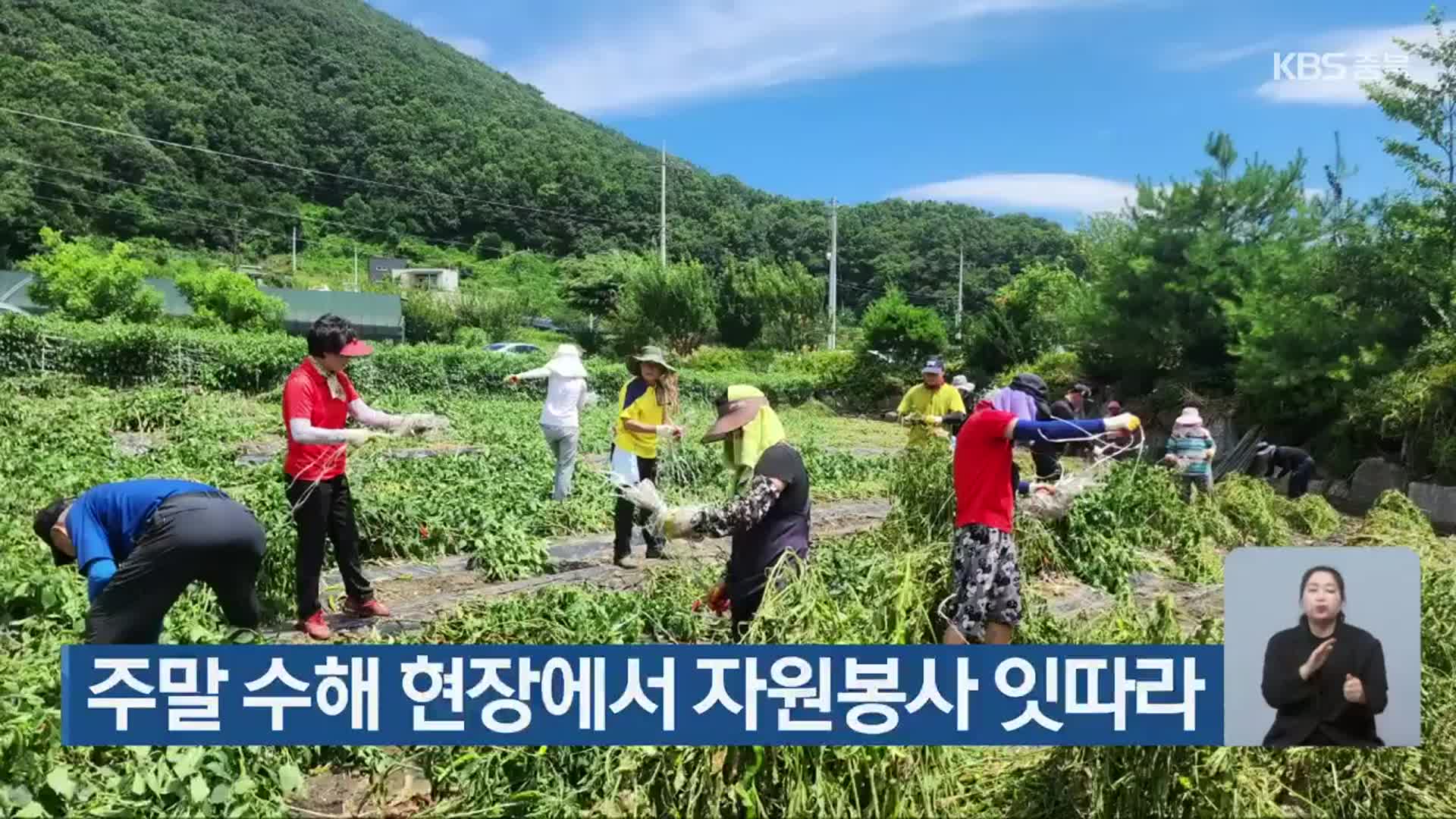 주말 수해 현장에서 자원봉사 잇따라