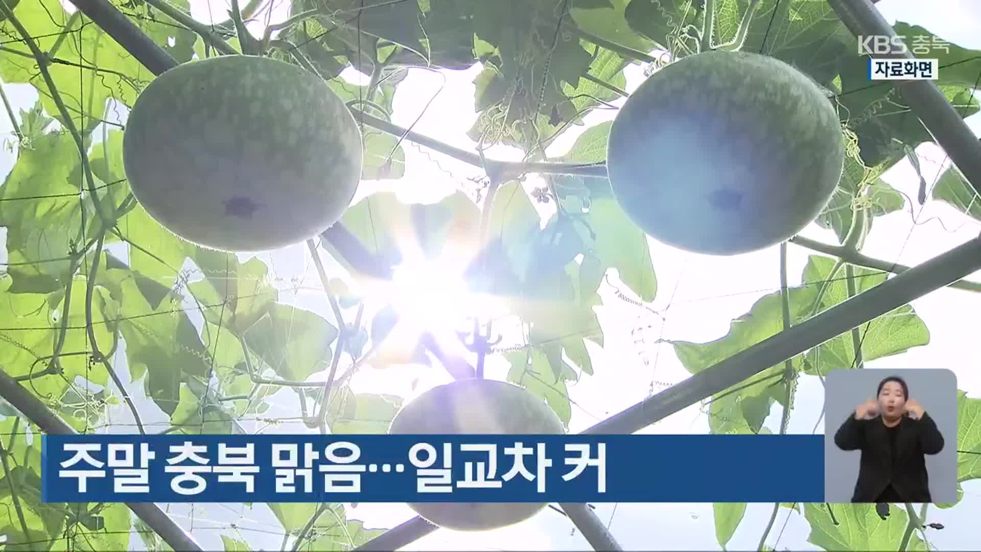 주말 충북 맑음…일교차 커