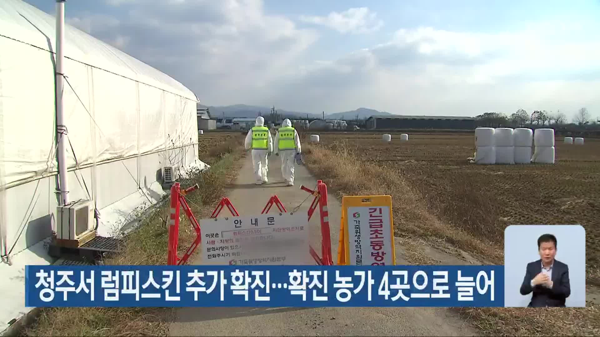 청주서 럼피스킨 추가 확진…확진 농가 4곳으로 늘어