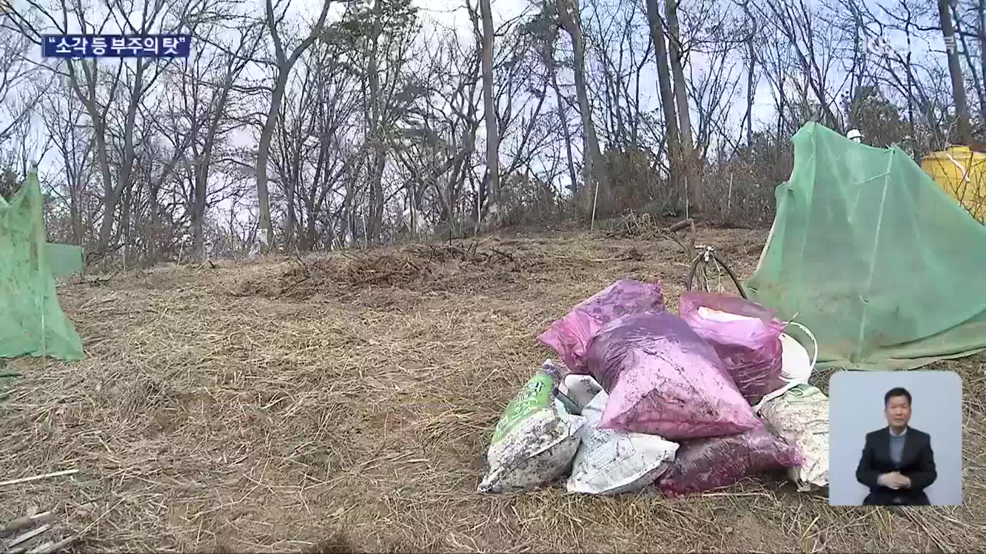 산불 피해 3월 집중…불법 소각 금지