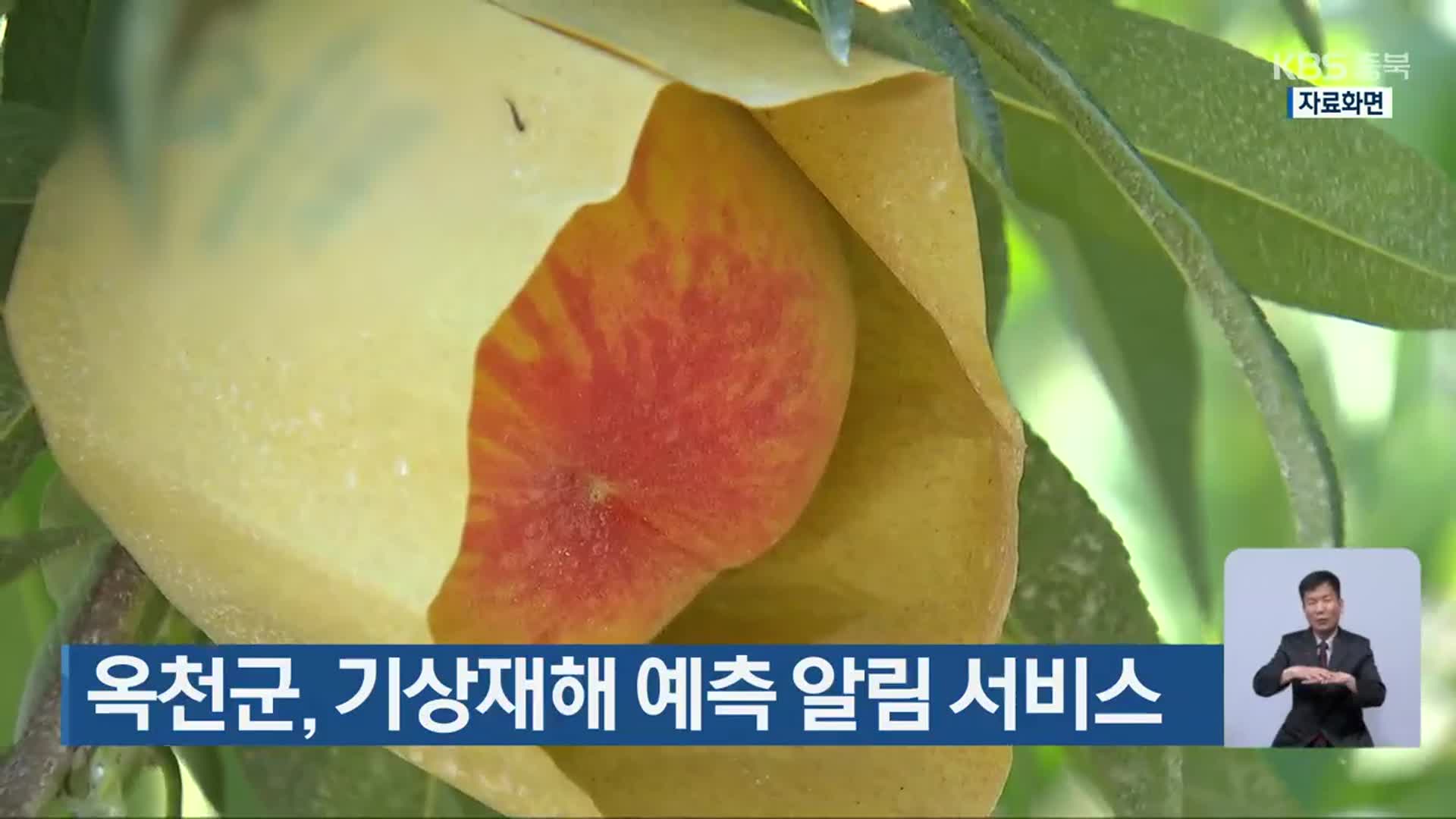 옥천군, 기상재해 예측 알림 서비스