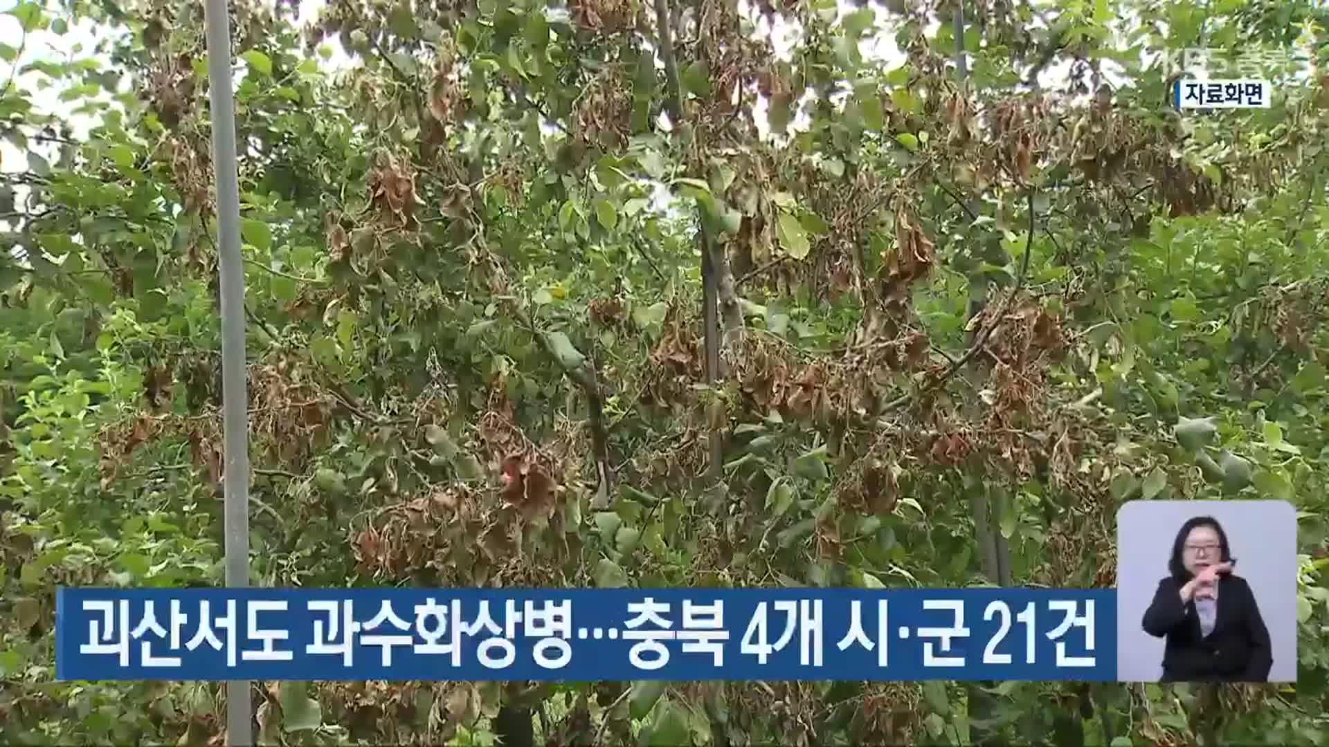 괴산서도 과수화상병…충북 4개 시·군 21건