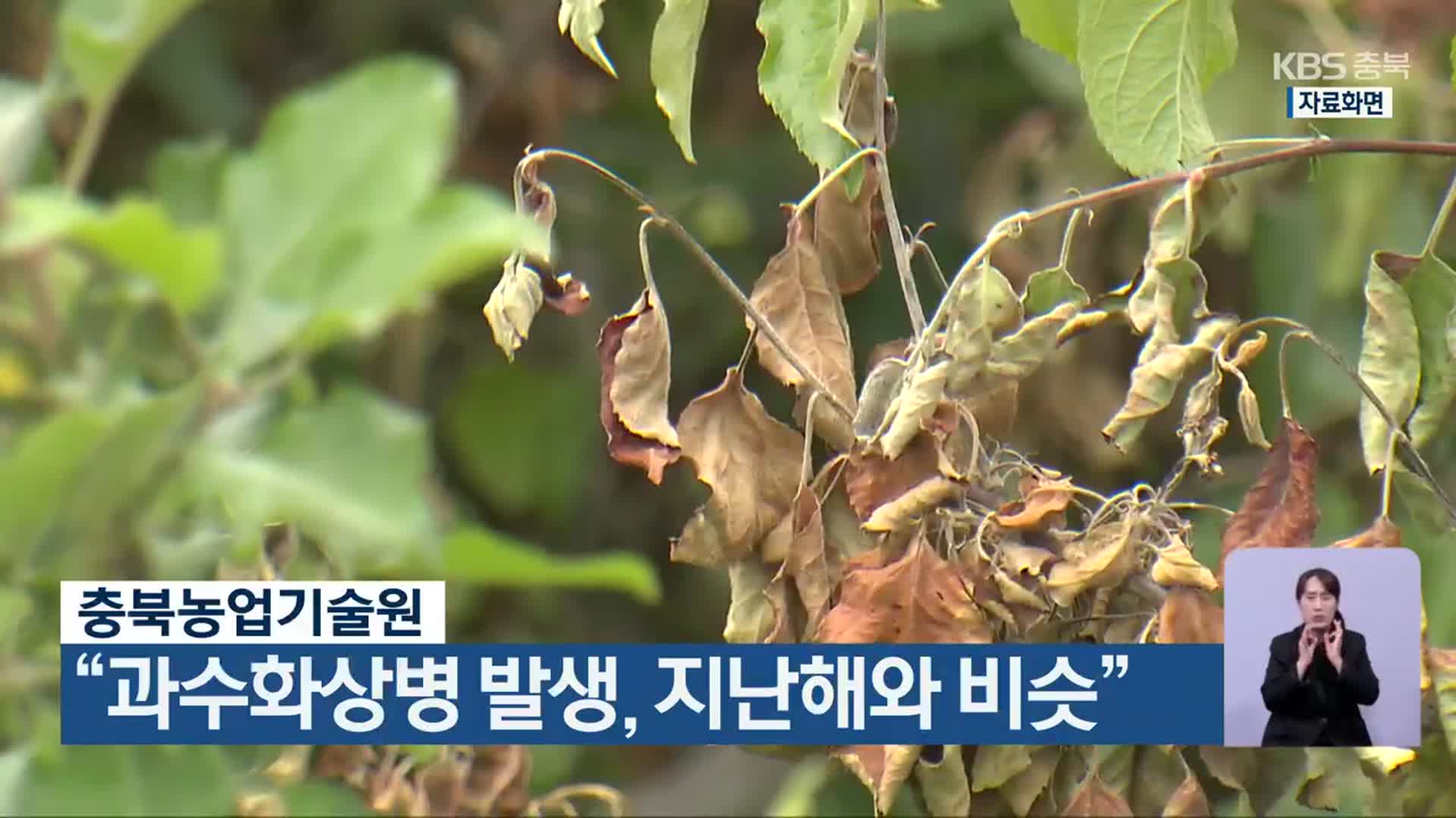 충북농업기술원 “과수화상병 발생, 지난해와 비슷”