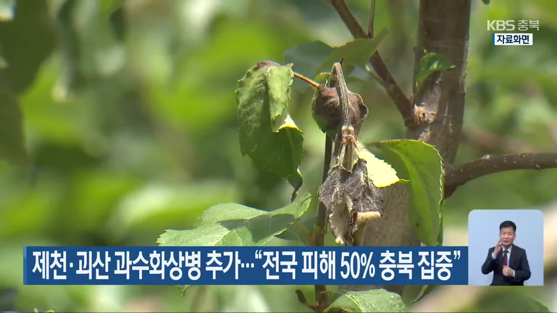 제천·괴산 과수화상병 추가…“전국 피해 50% 충북 집중”