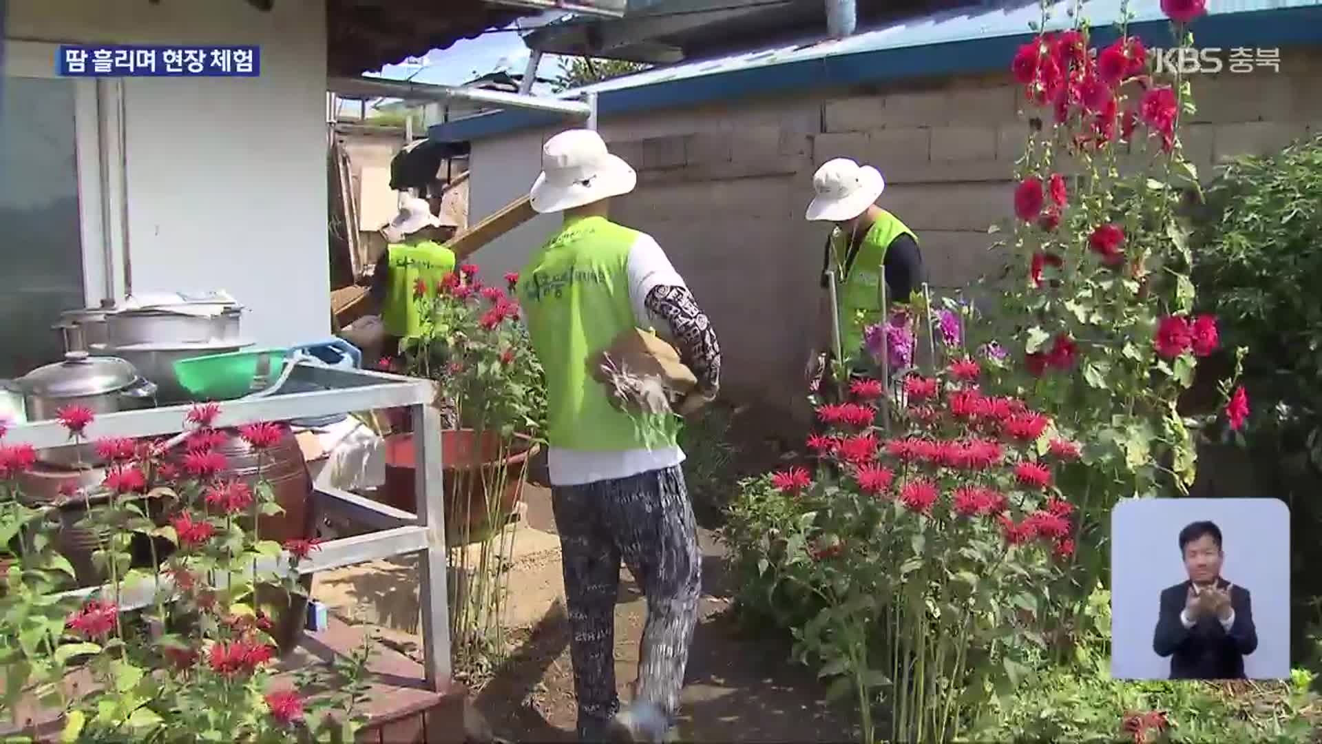 건축학도들의 집 수리 봉사…“땀 흘리며 배우는 현장”