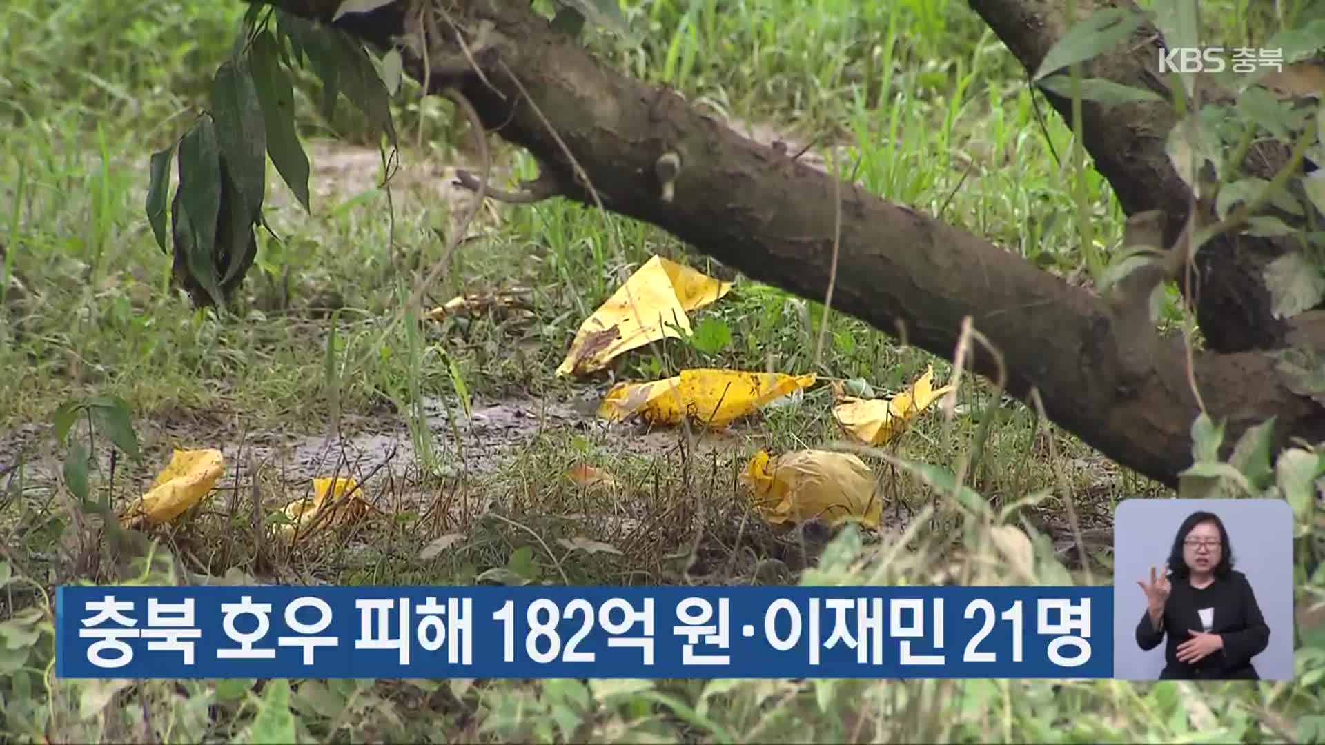 충북 호우 피해 182억 원·이재민 21명