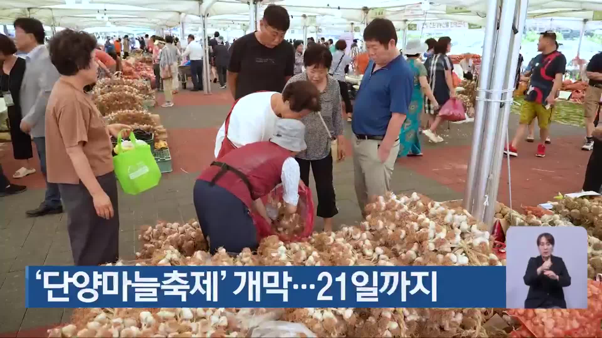 ‘단양마늘축제’ 개막…21일까지