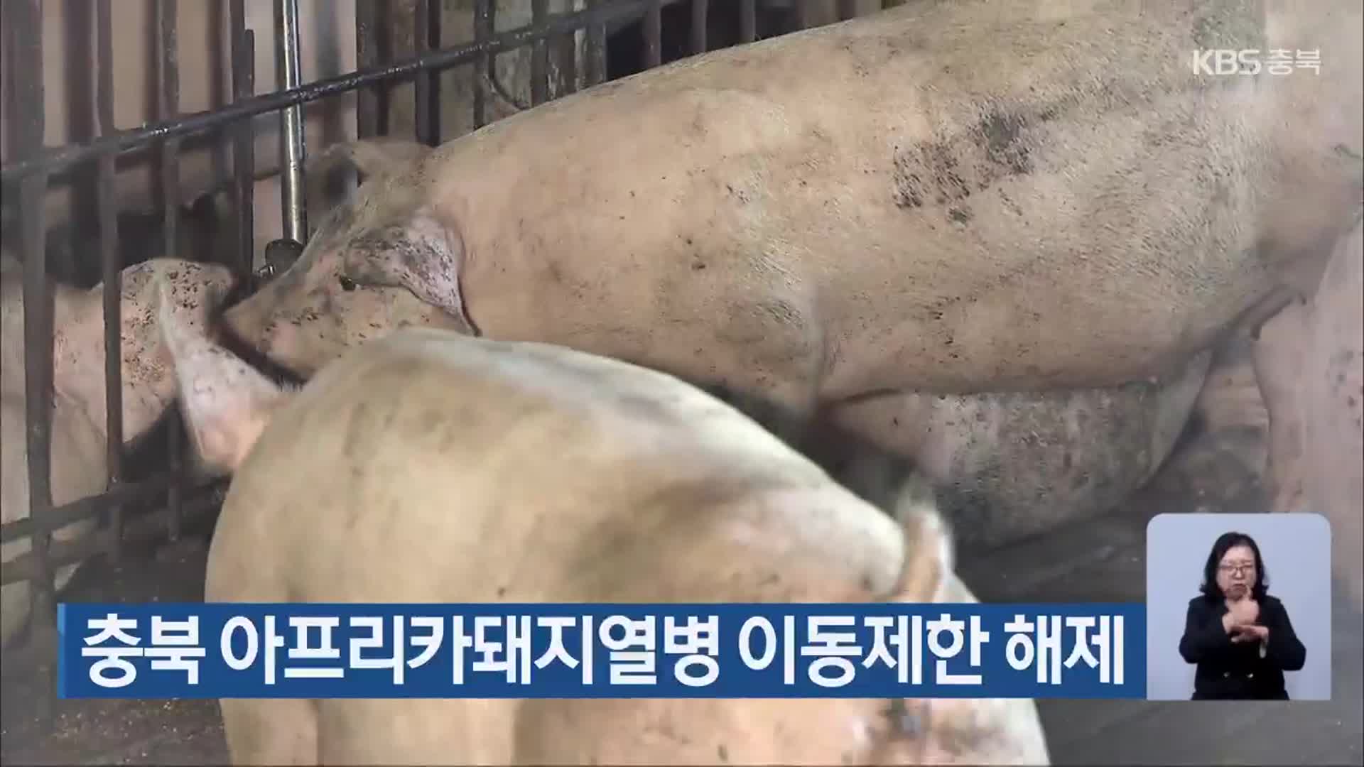 충북 아프리카돼지열병 이동제한 해제