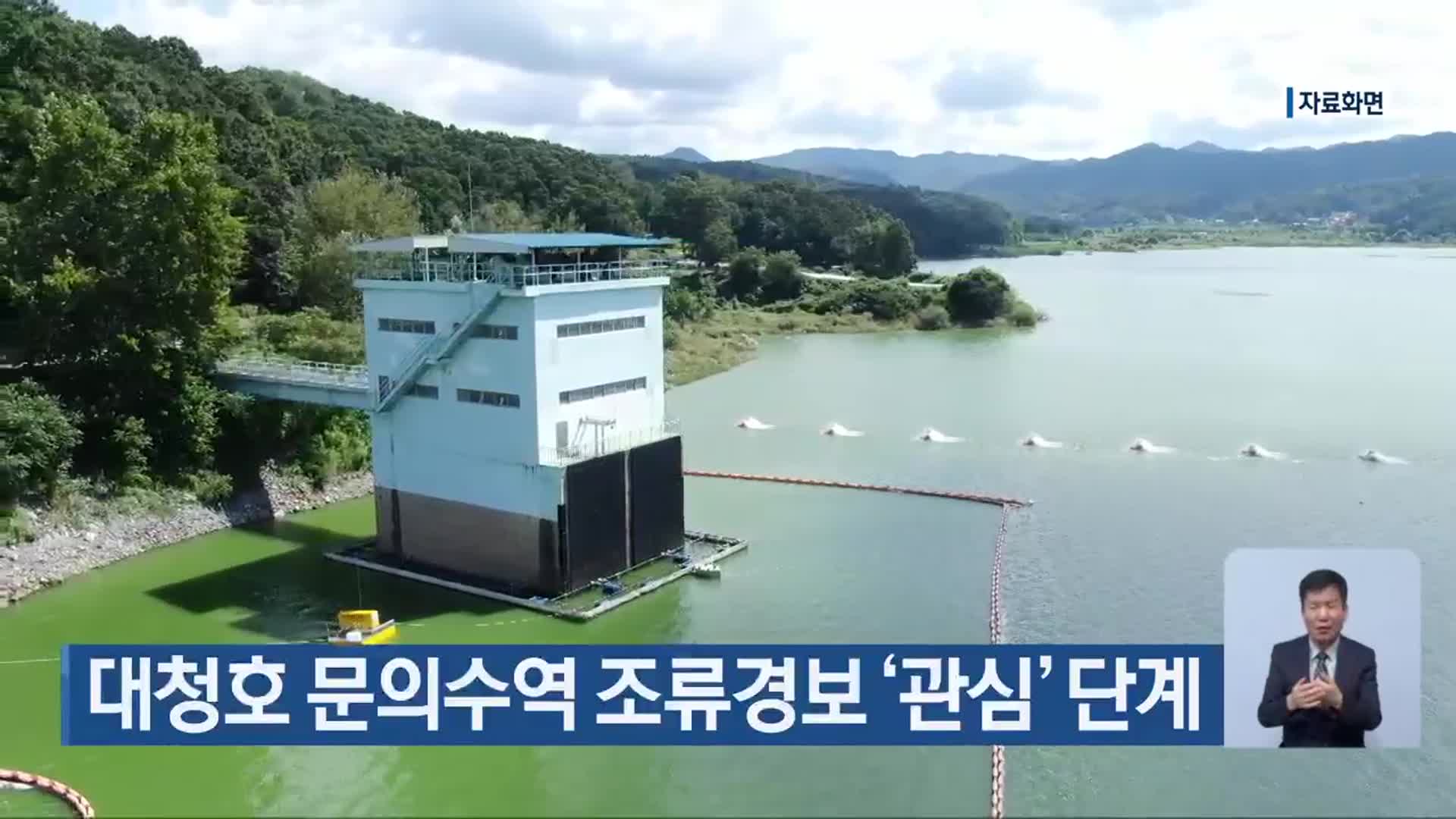 대청호 문의수역 조류경보 ‘관심’ 단계