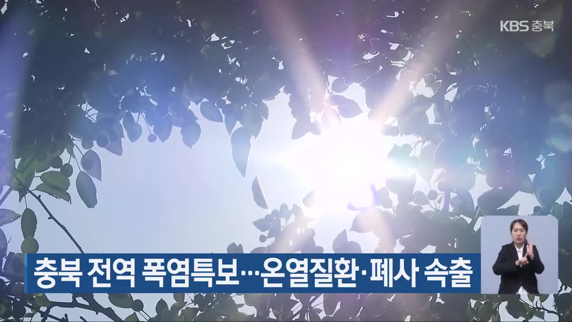 충북 전역 폭염특보…온열질환·폐사 속출