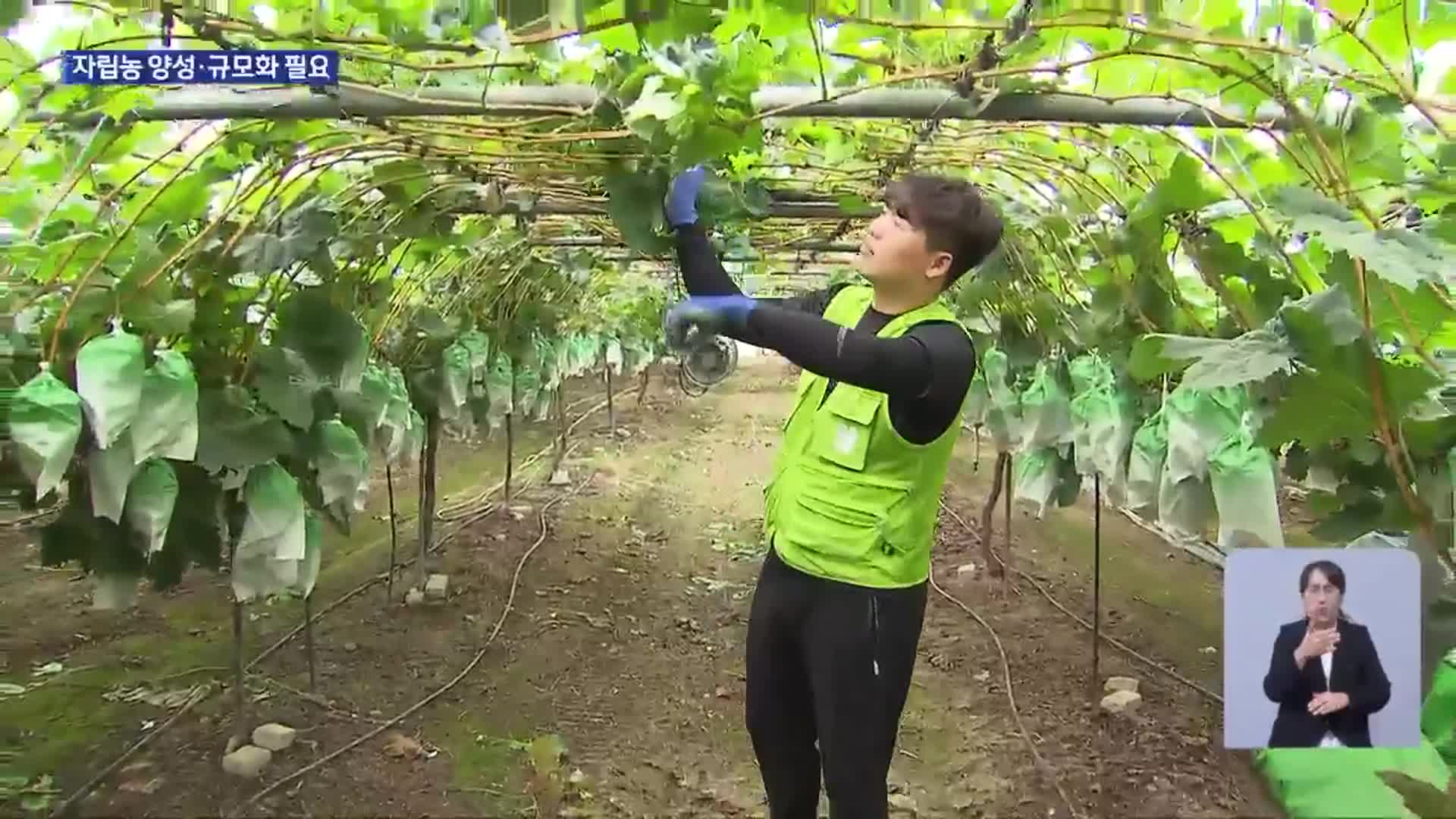 고령 영세농 상당수…자립농 양성해야