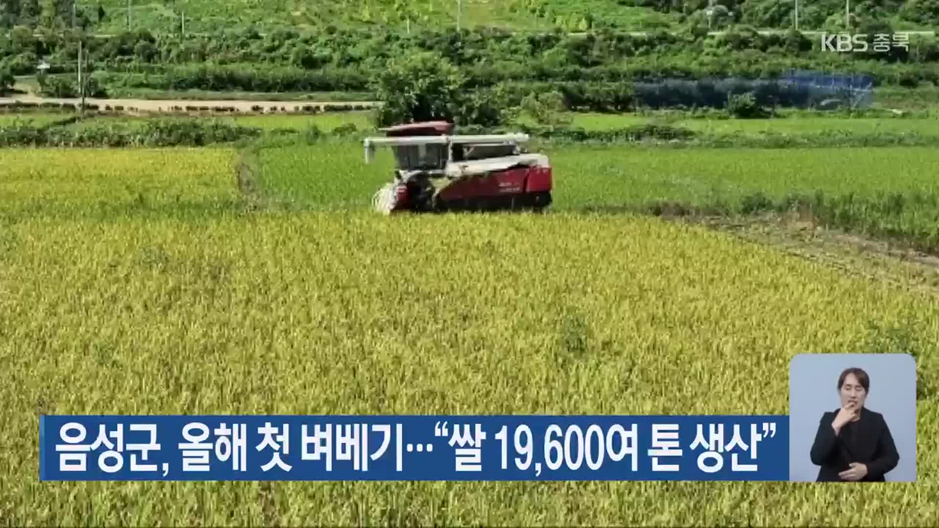 음성군, 올해 첫 벼베기…“쌀 19,600여 톤 생산”