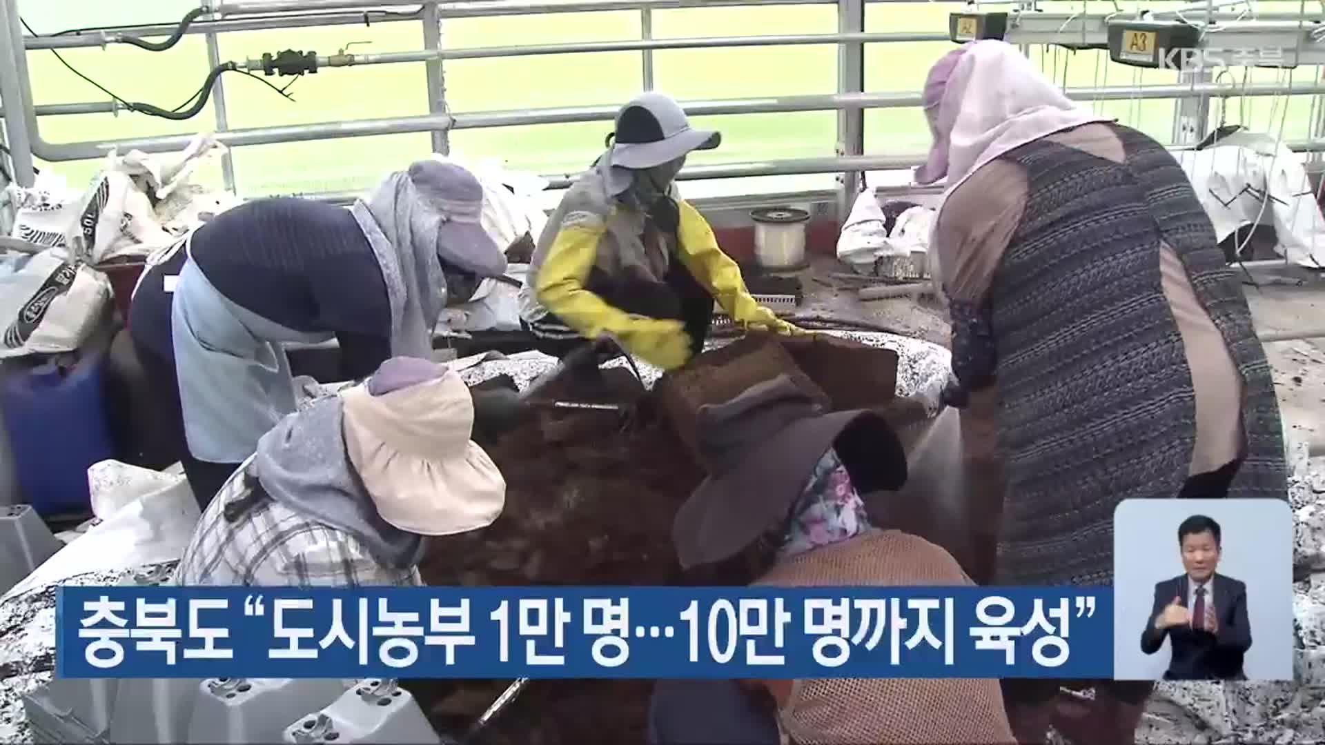 충북도 “도시농부 1만 명…10만 명까지 육성”