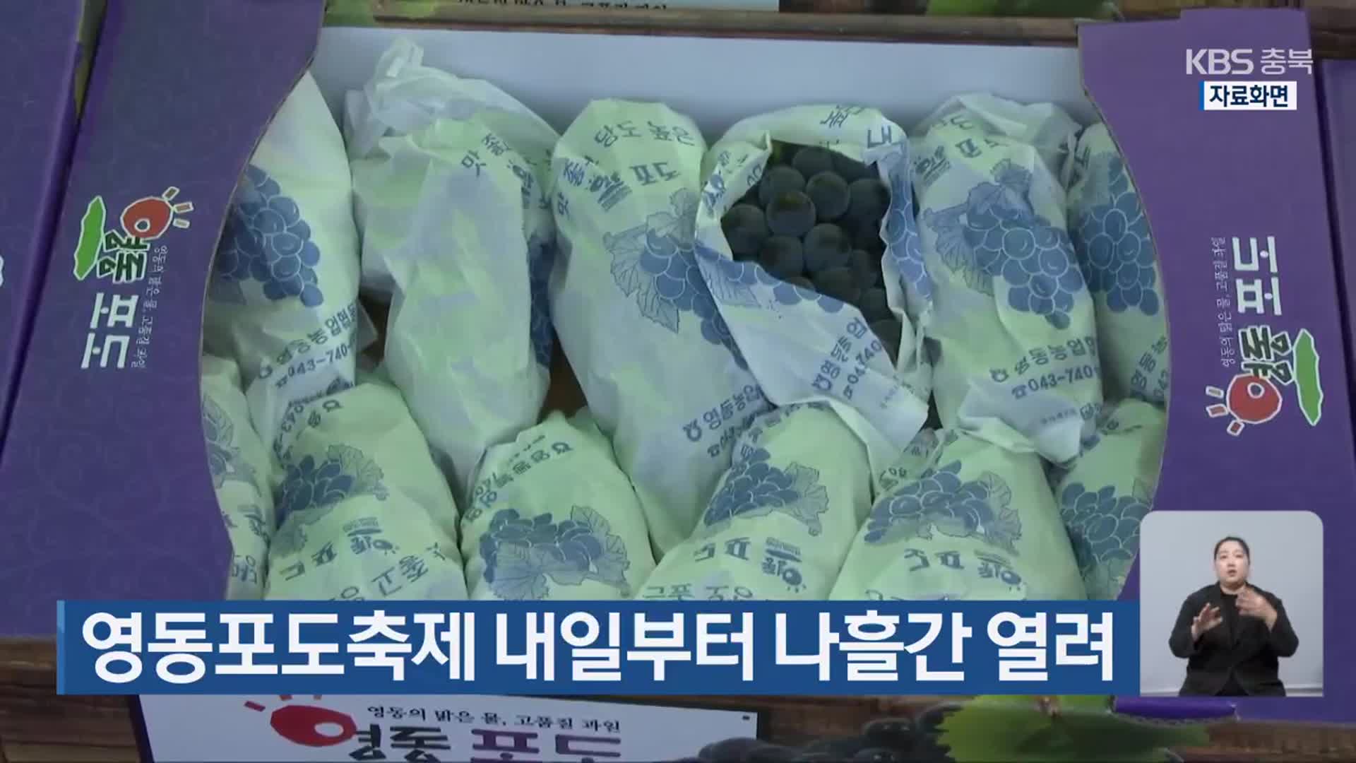 영동포도축제 내일부터 나흘간 열려