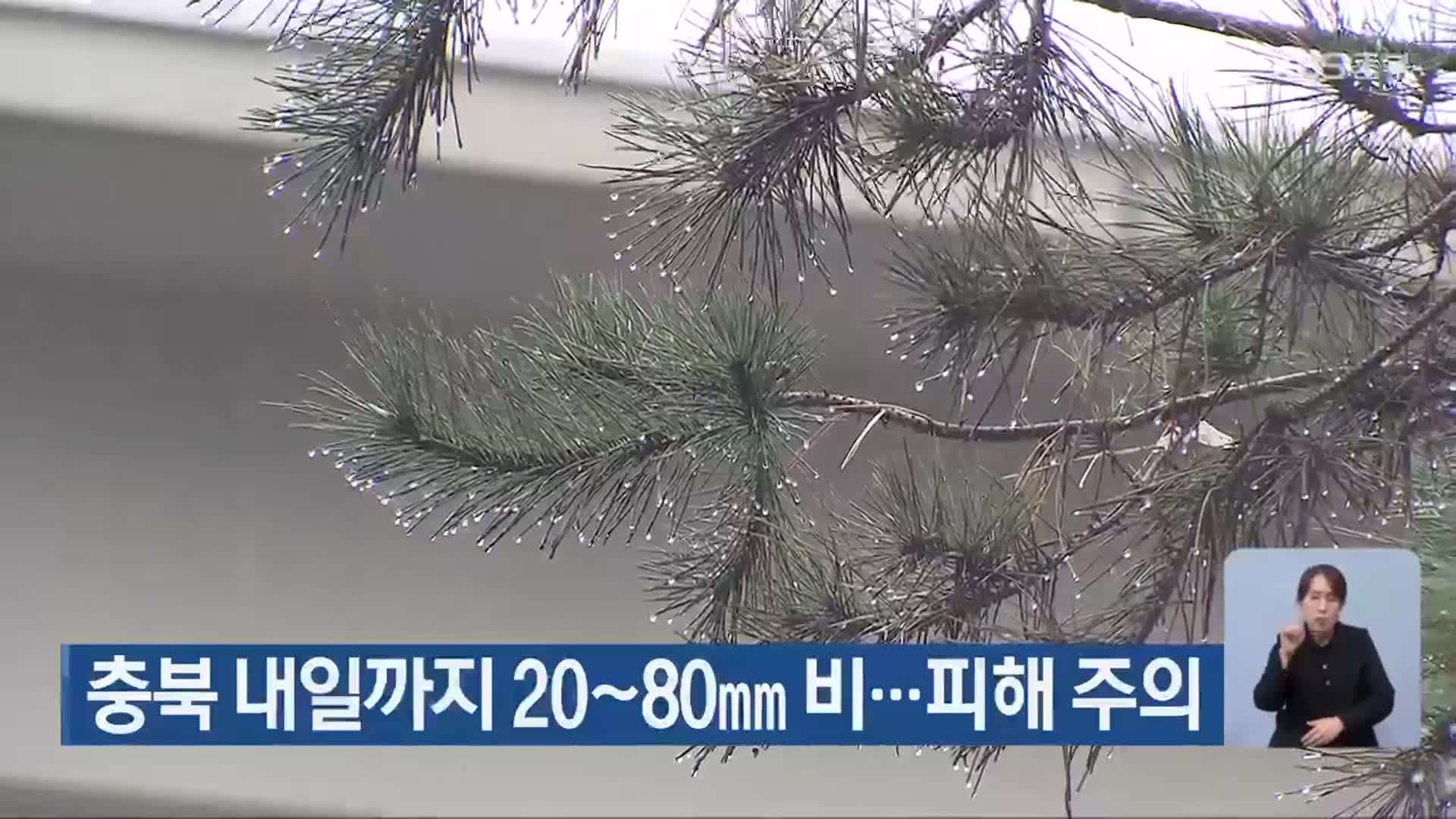 충북 내일까지 20~80mm 비…피해 주의