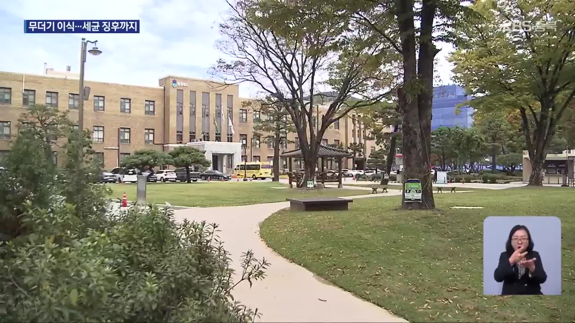 충북도청 나무 77% 사라져…이식한 나무는 고사 위기