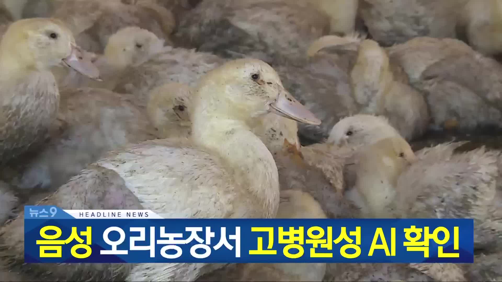 [뉴스9 충북 헤드라인]