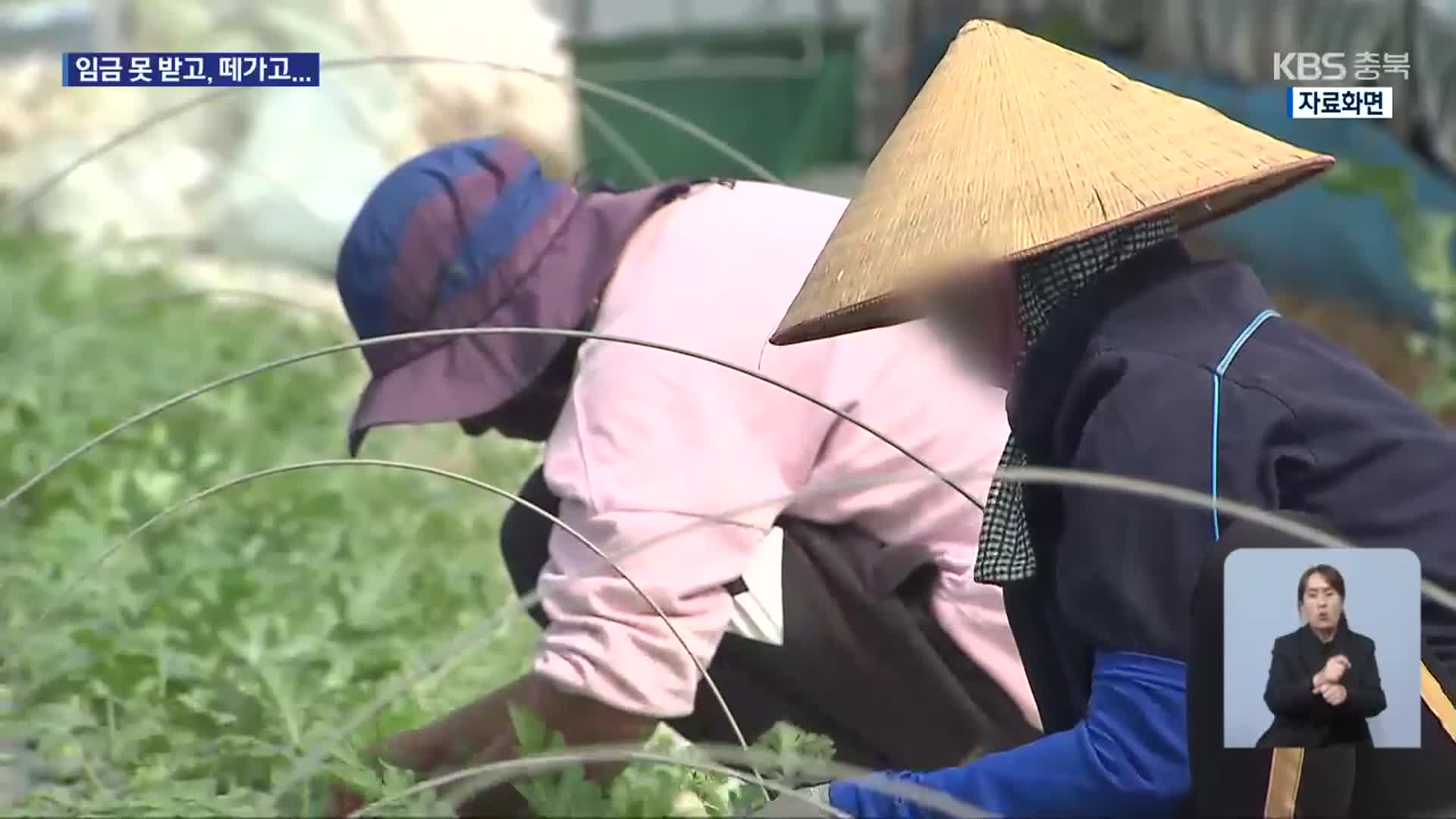 농어촌 ‘임금 체불’ 10명 중 4명 ‘외국인’