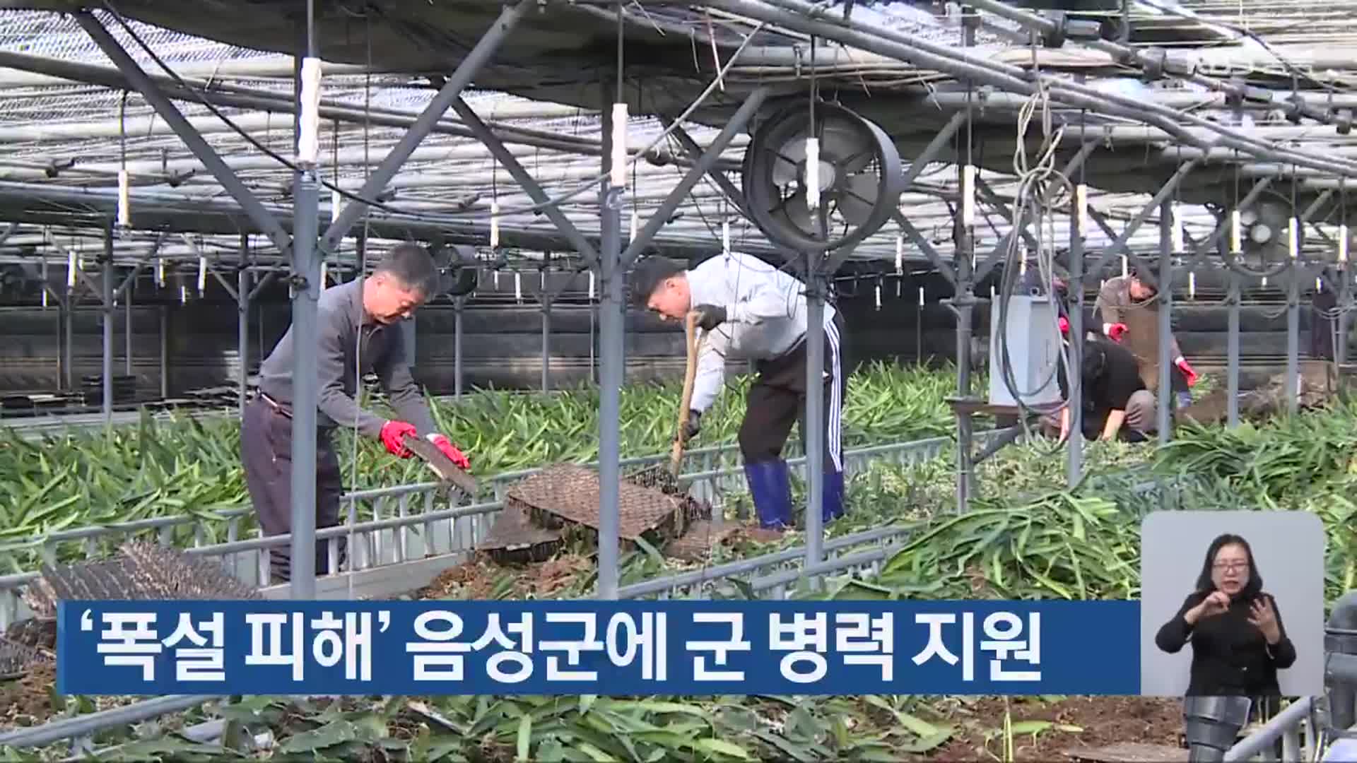 ‘폭설 피해’ 음성군에 군 병력 지원