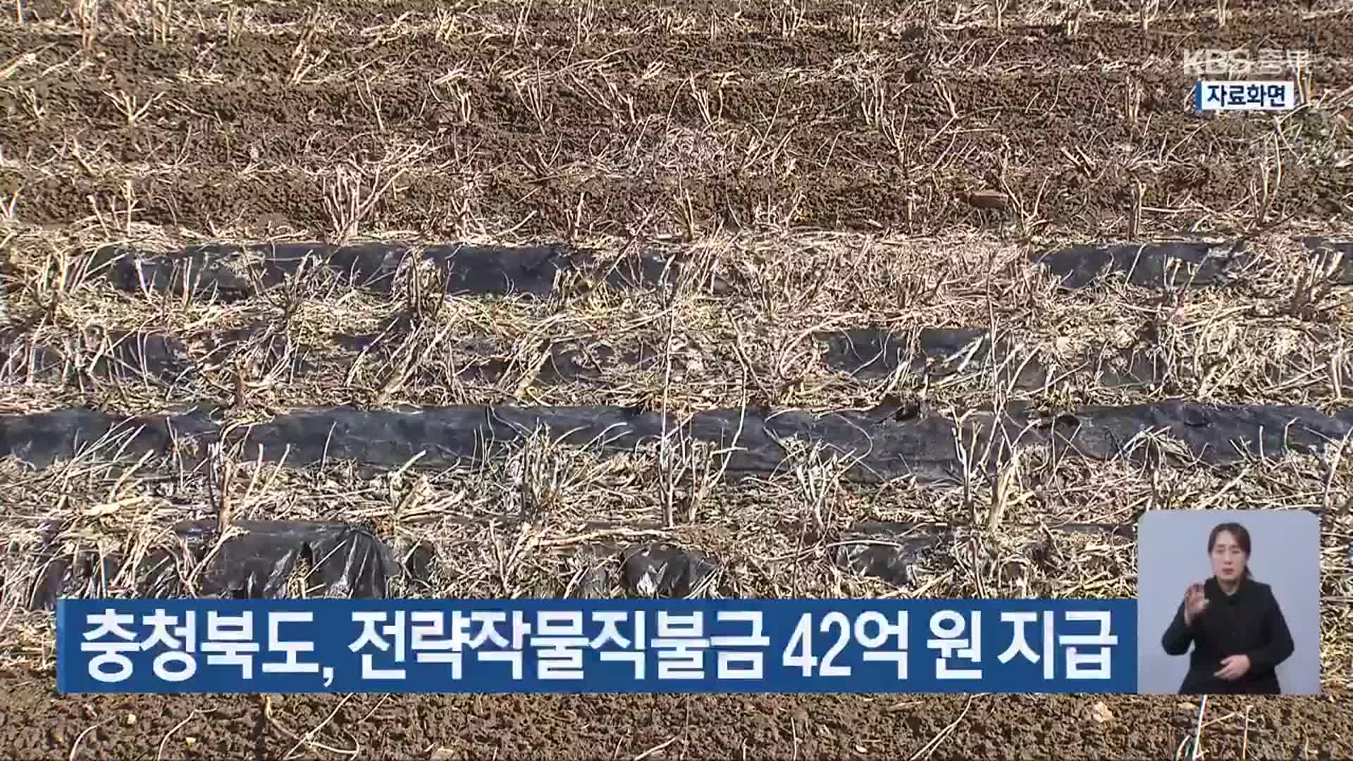 충청북도, 전략작물직불금 42억 원 지급