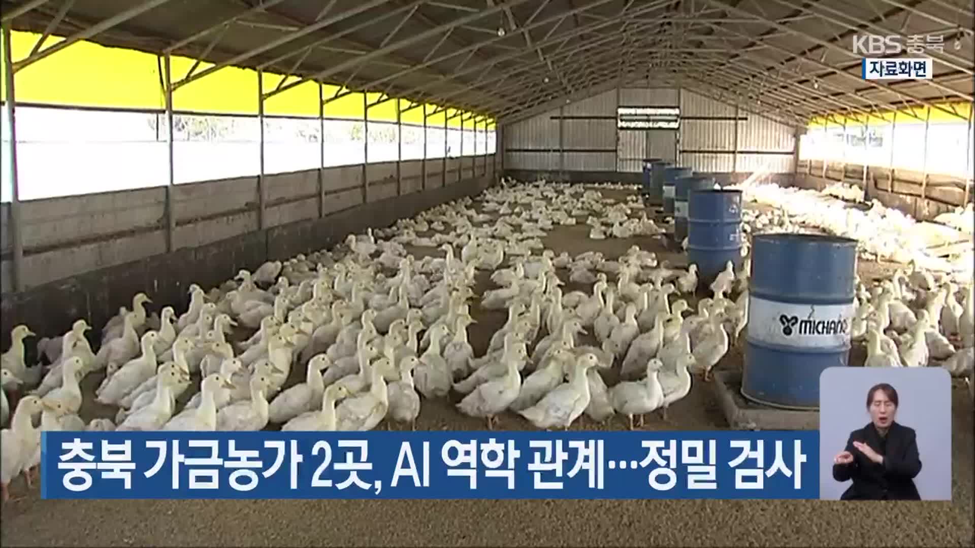 충북 가금농가 2곳, AI 역학 관계…정밀 검사