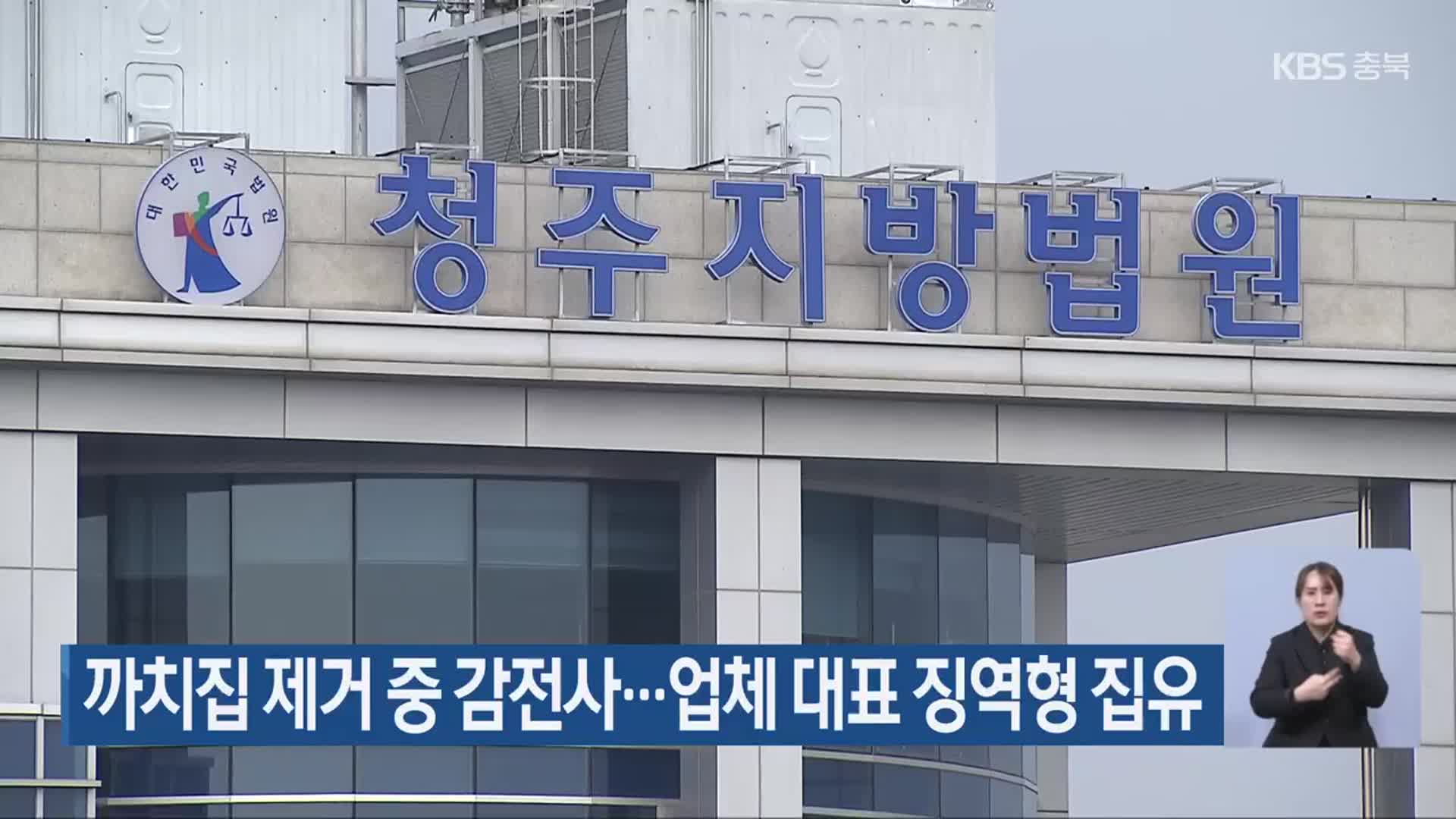 까치집 제거 중 감전사…업체 대표 징역형 집유
