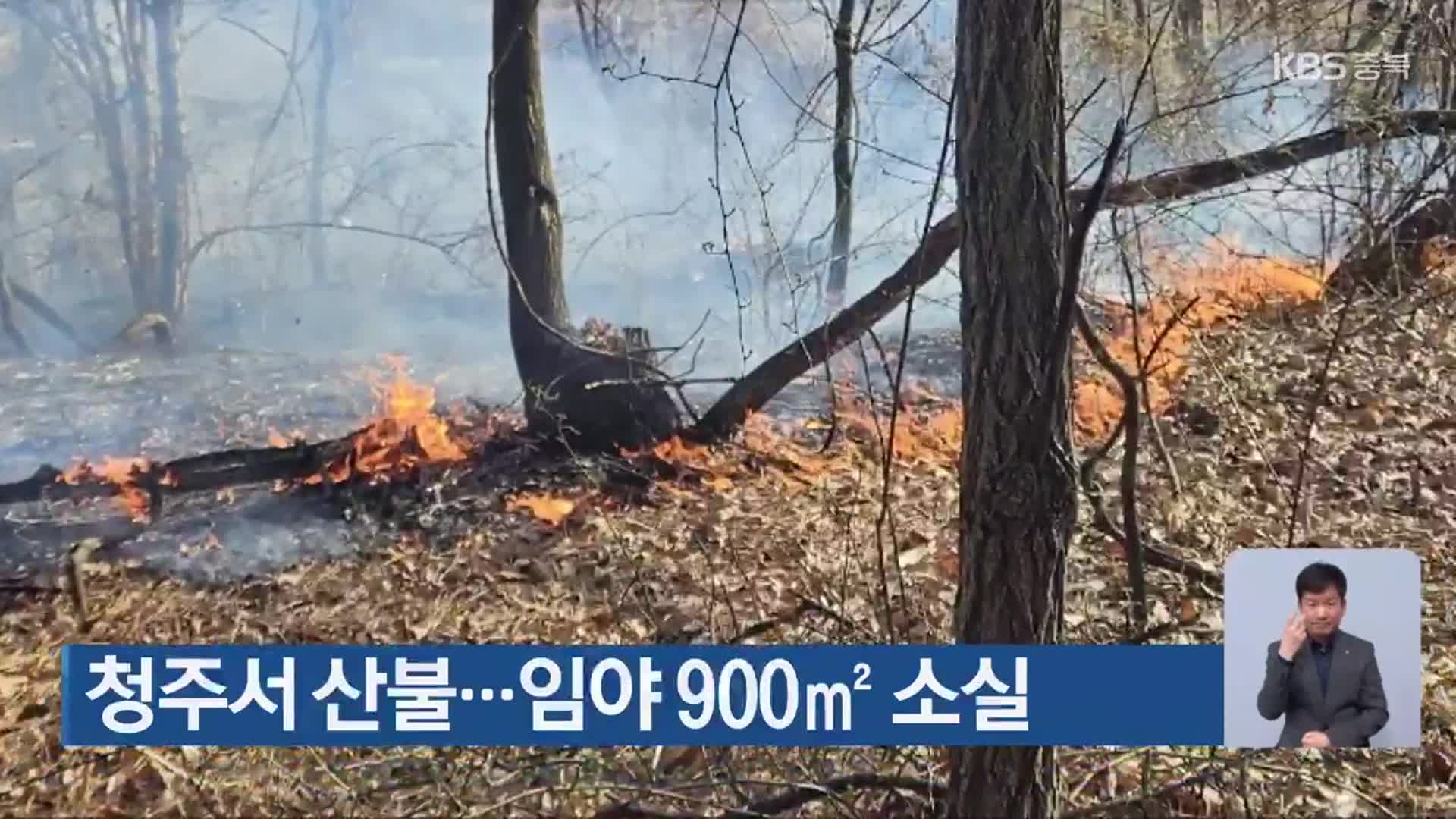 청주서 산불…임야 900㎡ 소실