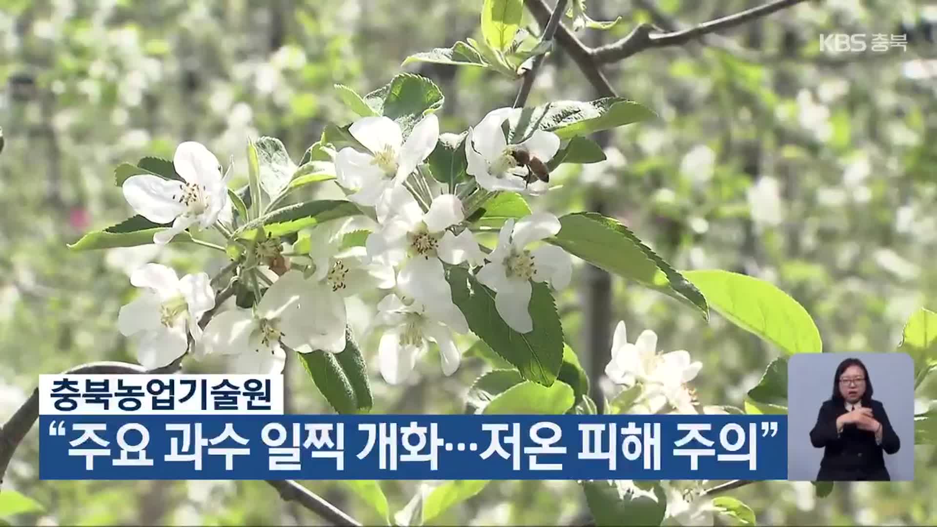 충북농업기술원 “주요 과수 일찍 개화…저온 피해 주의”