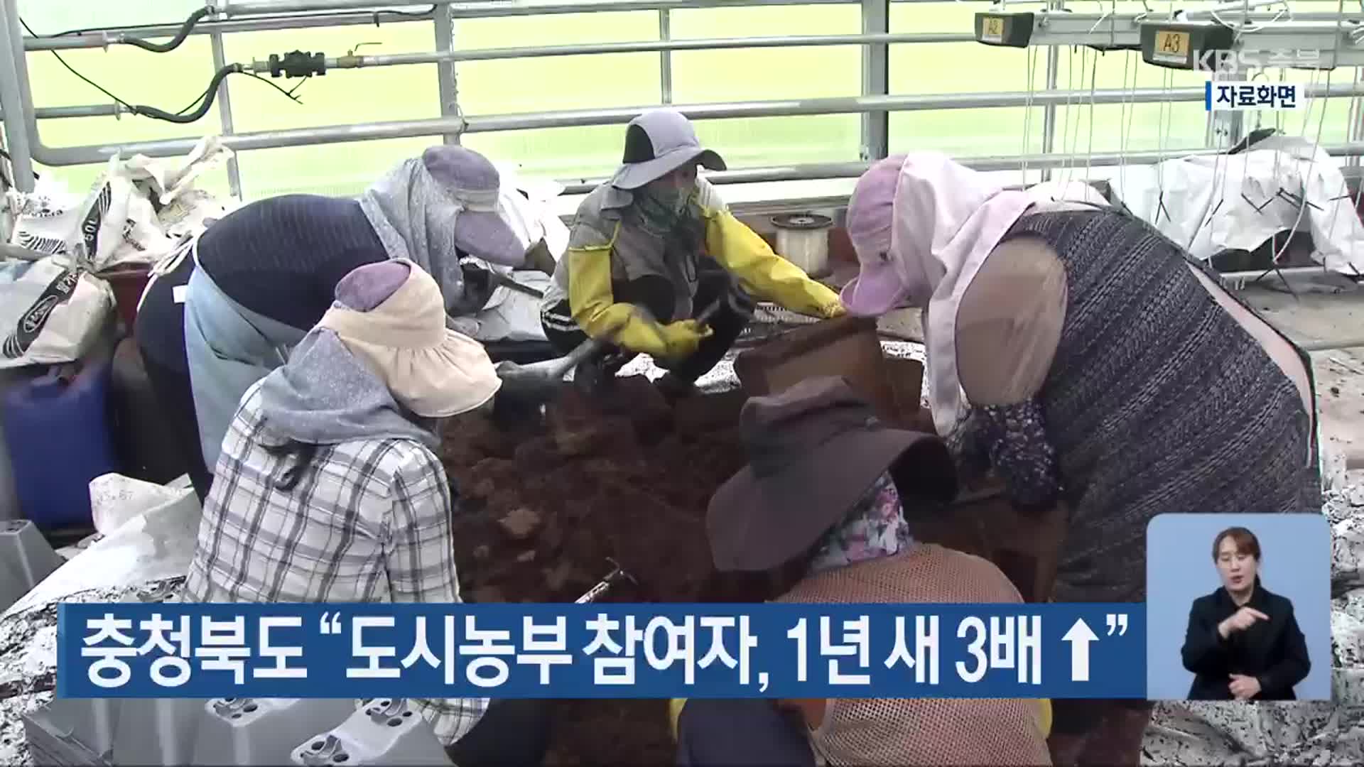 충청북도 “도시농부 참여자, 1년 새 3배 ↑”