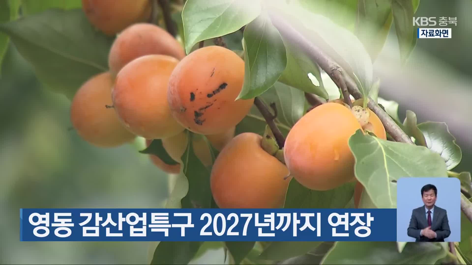 영동 감산업특구 2027년까지 연장