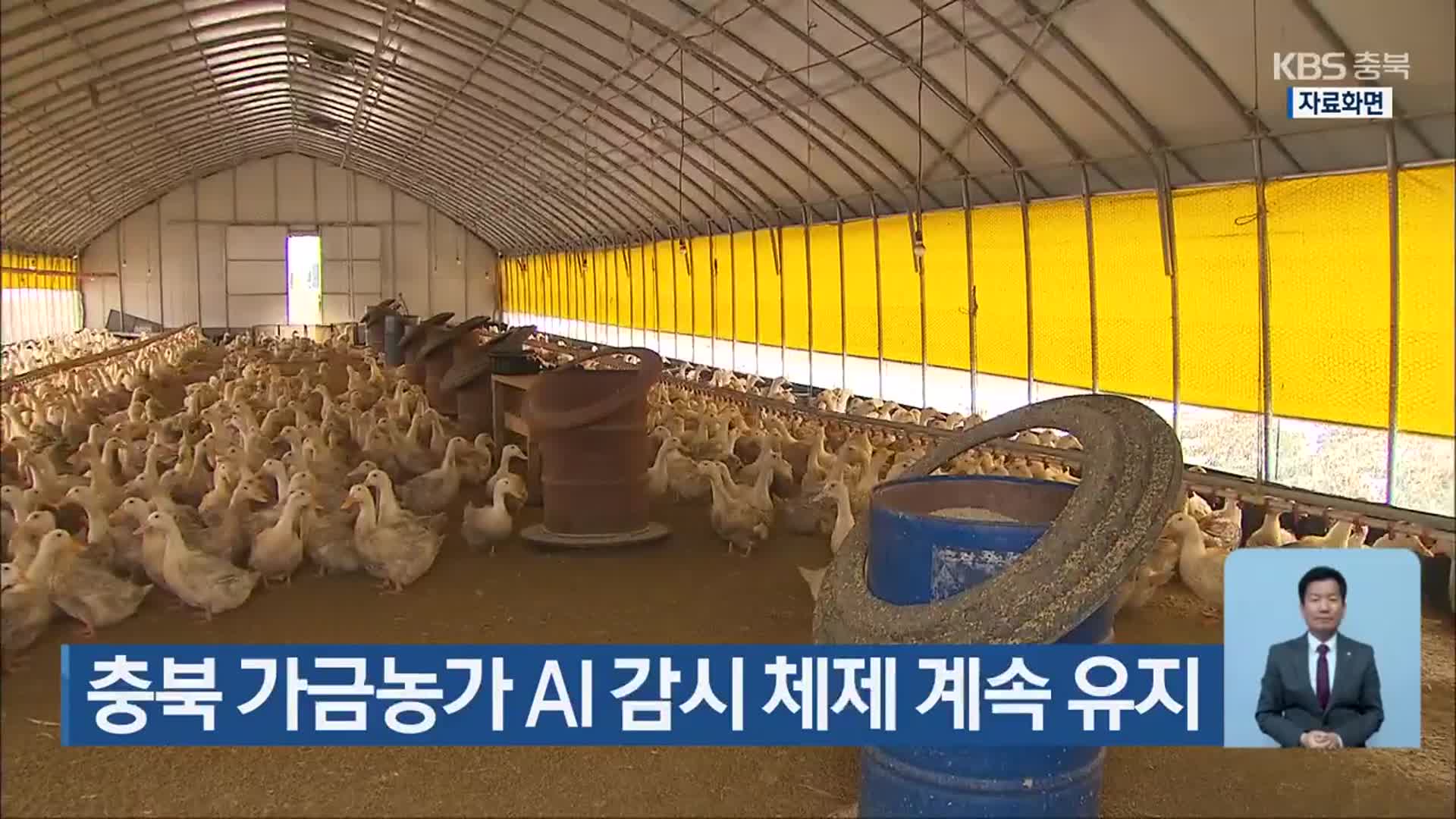 충북 가금농가 AI 감시 체제 계속 유지