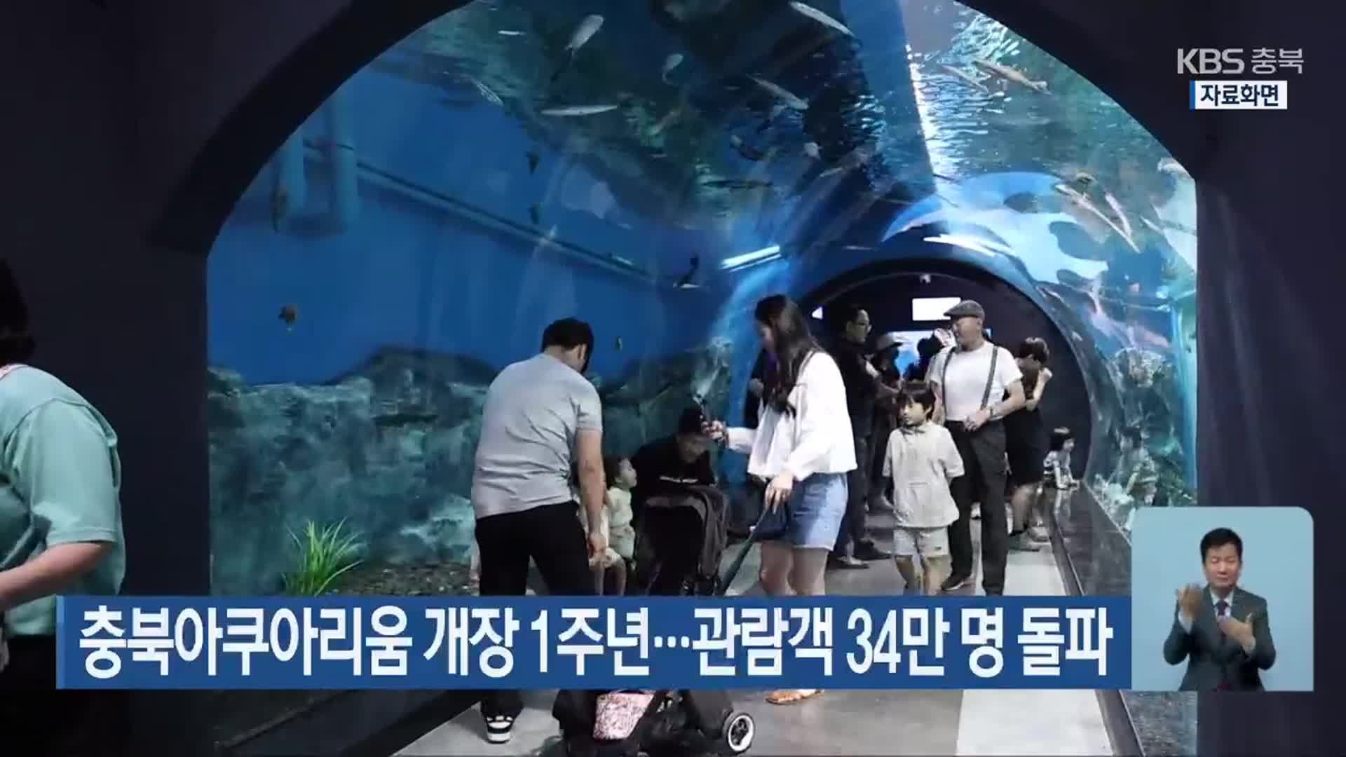 충북아쿠아리움 개장 1주년…관람객 34만 명 돌파