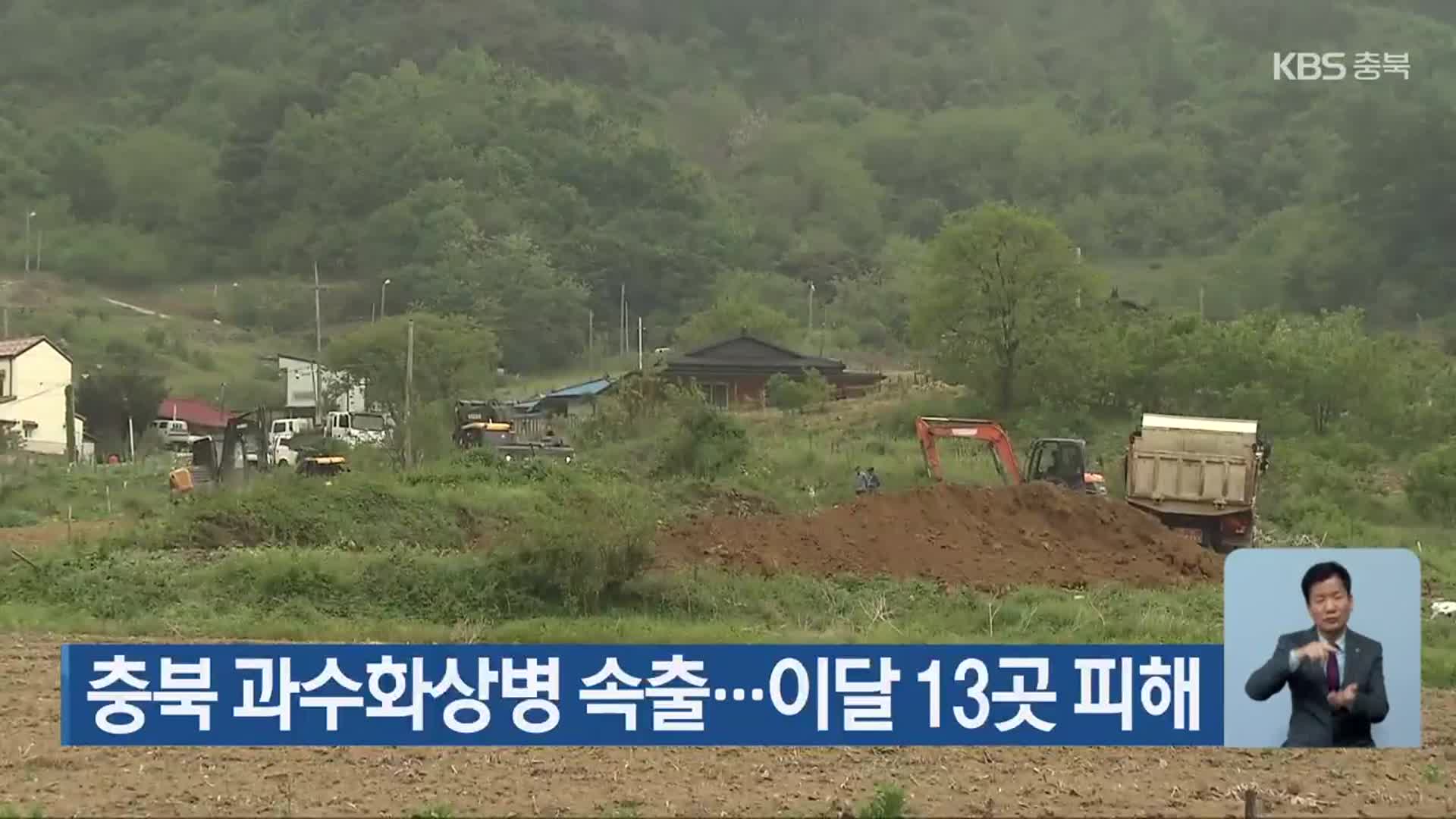 충북 과수화상병 속출…이달 13곳 피해