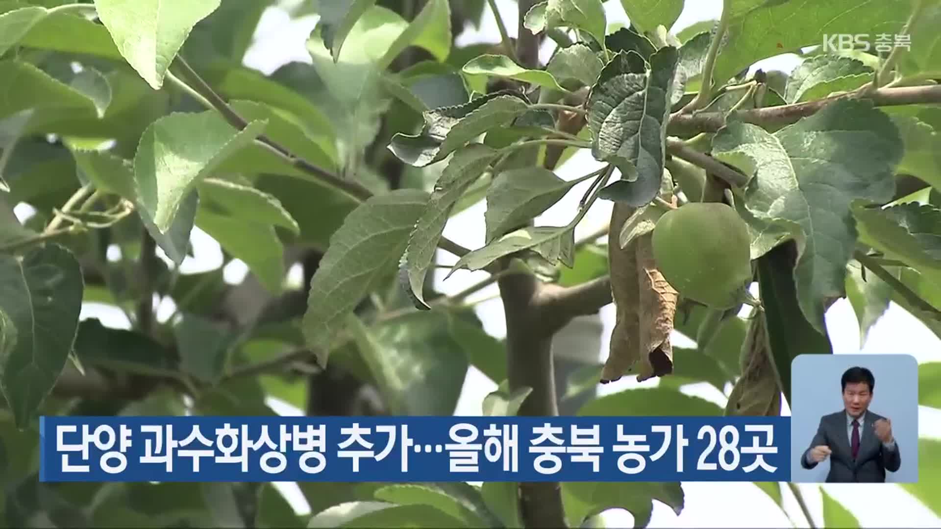 단양 과수화상병 추가…올해 충북 농가 28곳
