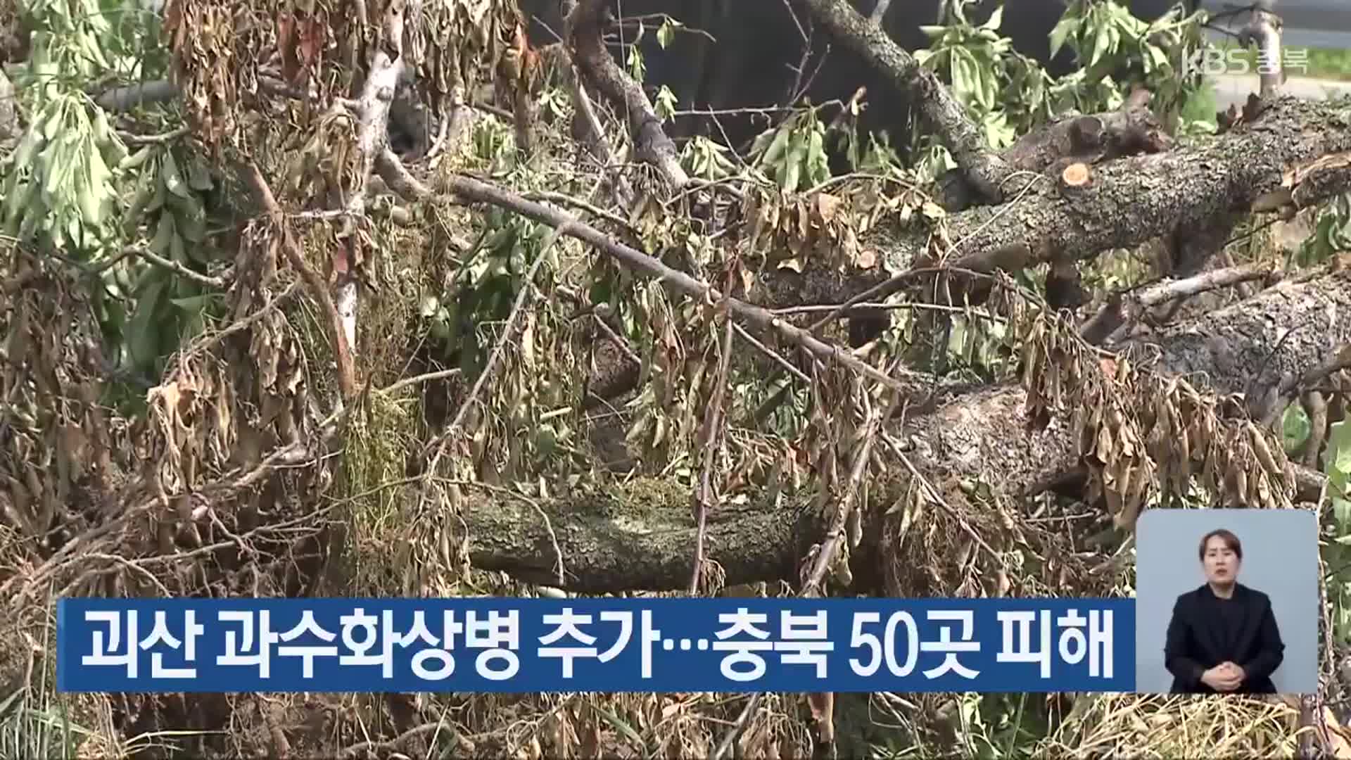 괴산 과수화상병 추가…충북 50곳 피해