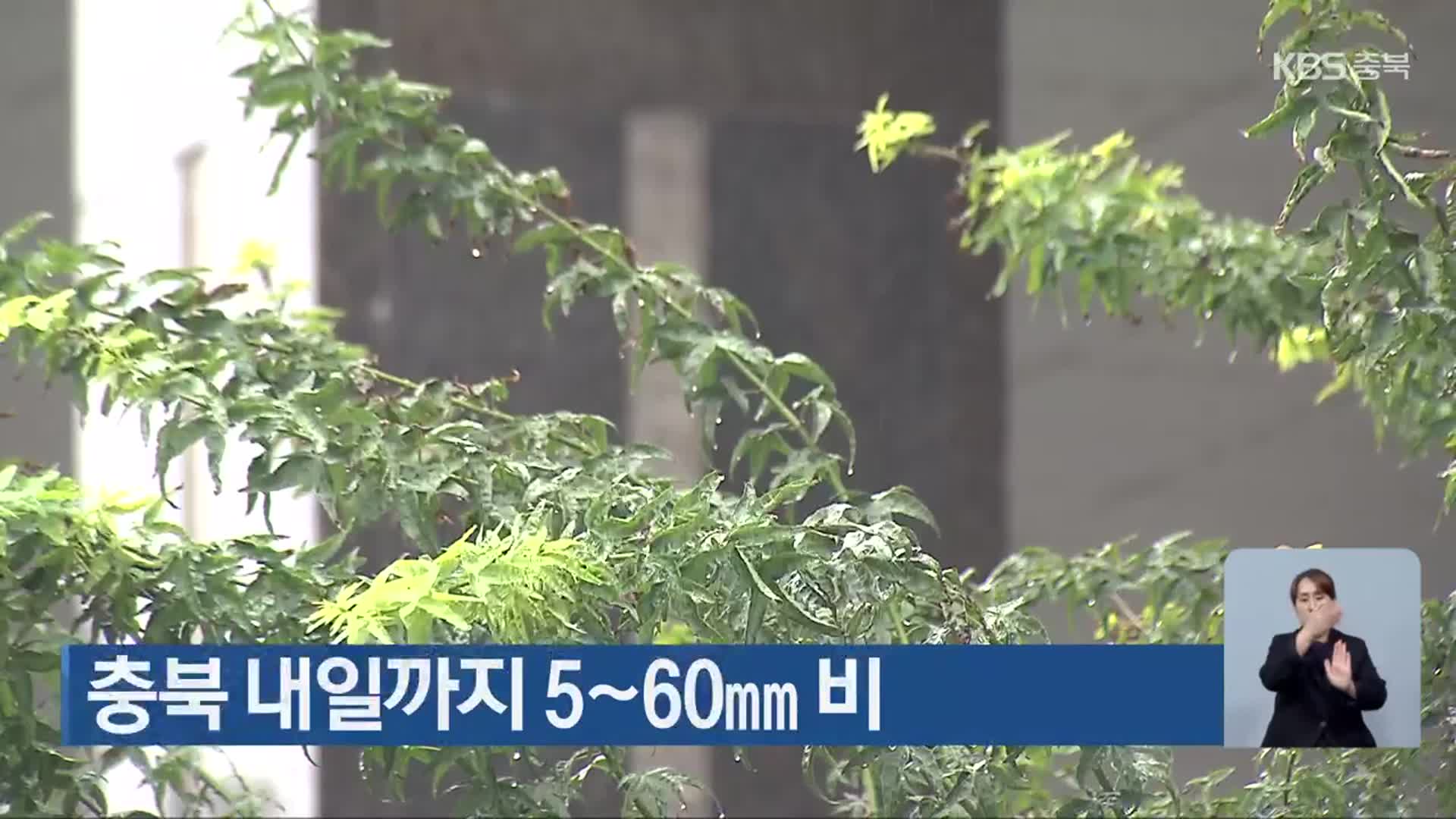 충북 내일까지 5~60mm 비