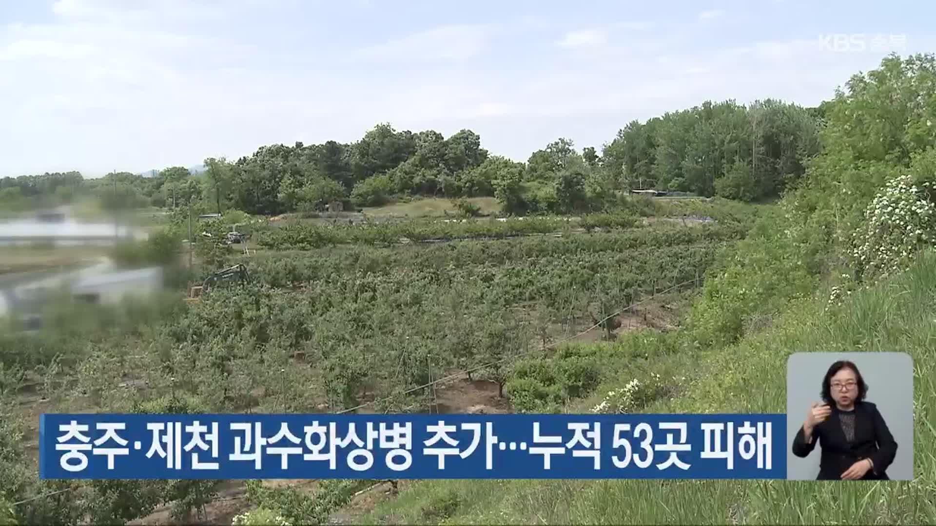충주·제천 과수화상병 추가…누적 53곳 피해