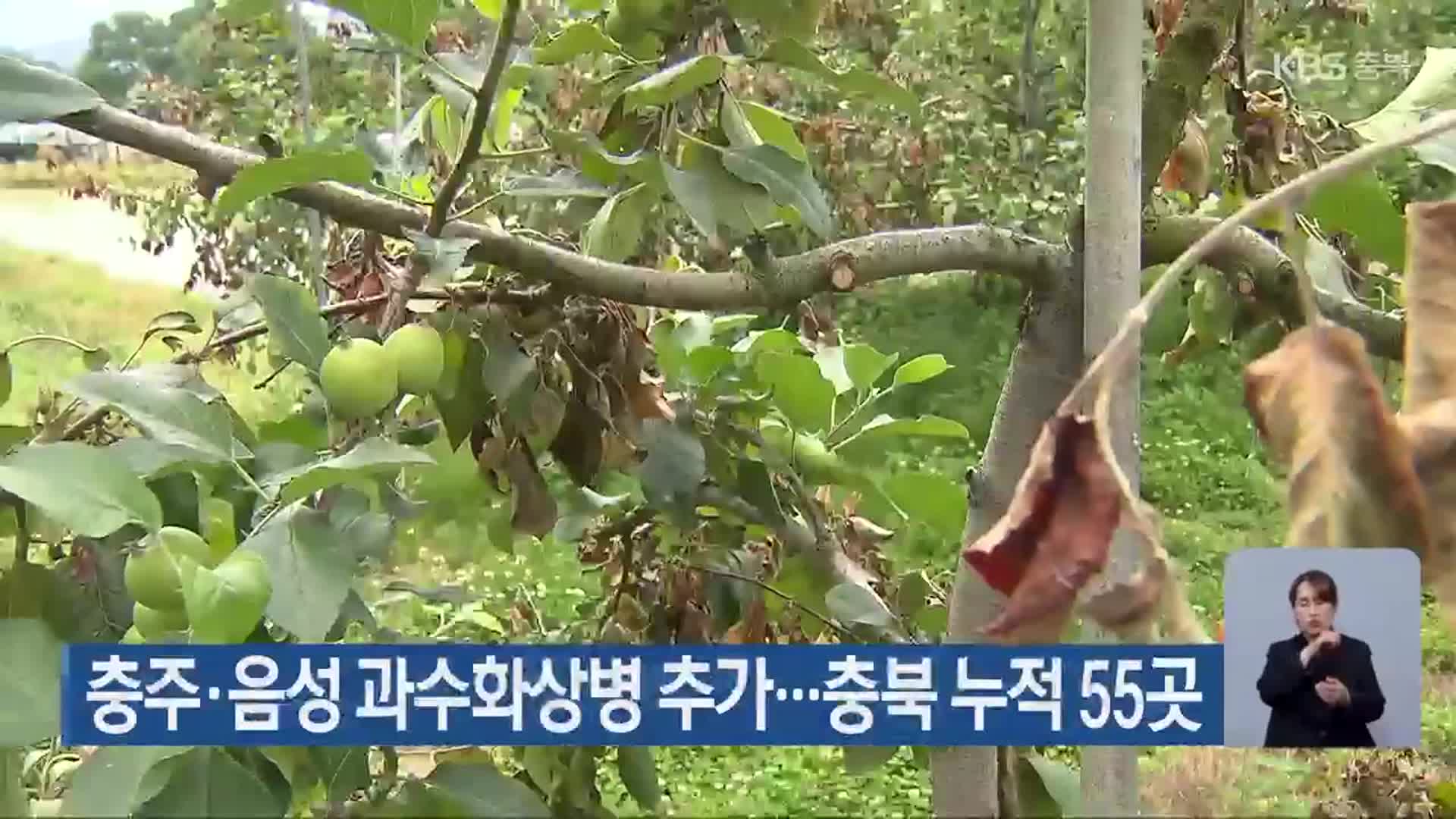충주·음성 과수화상병 추가…충북 누적 55곳