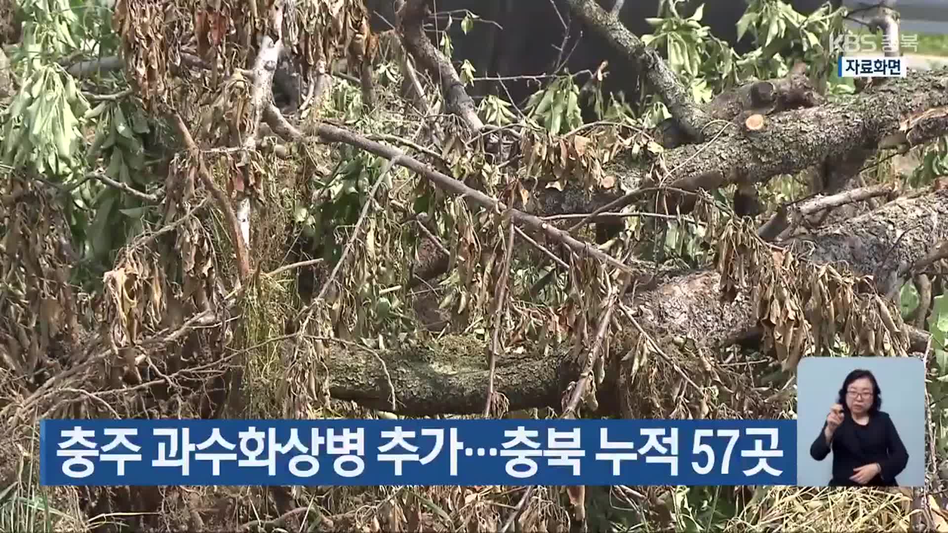 충주 과수화상병 추가…충북 누적 57곳