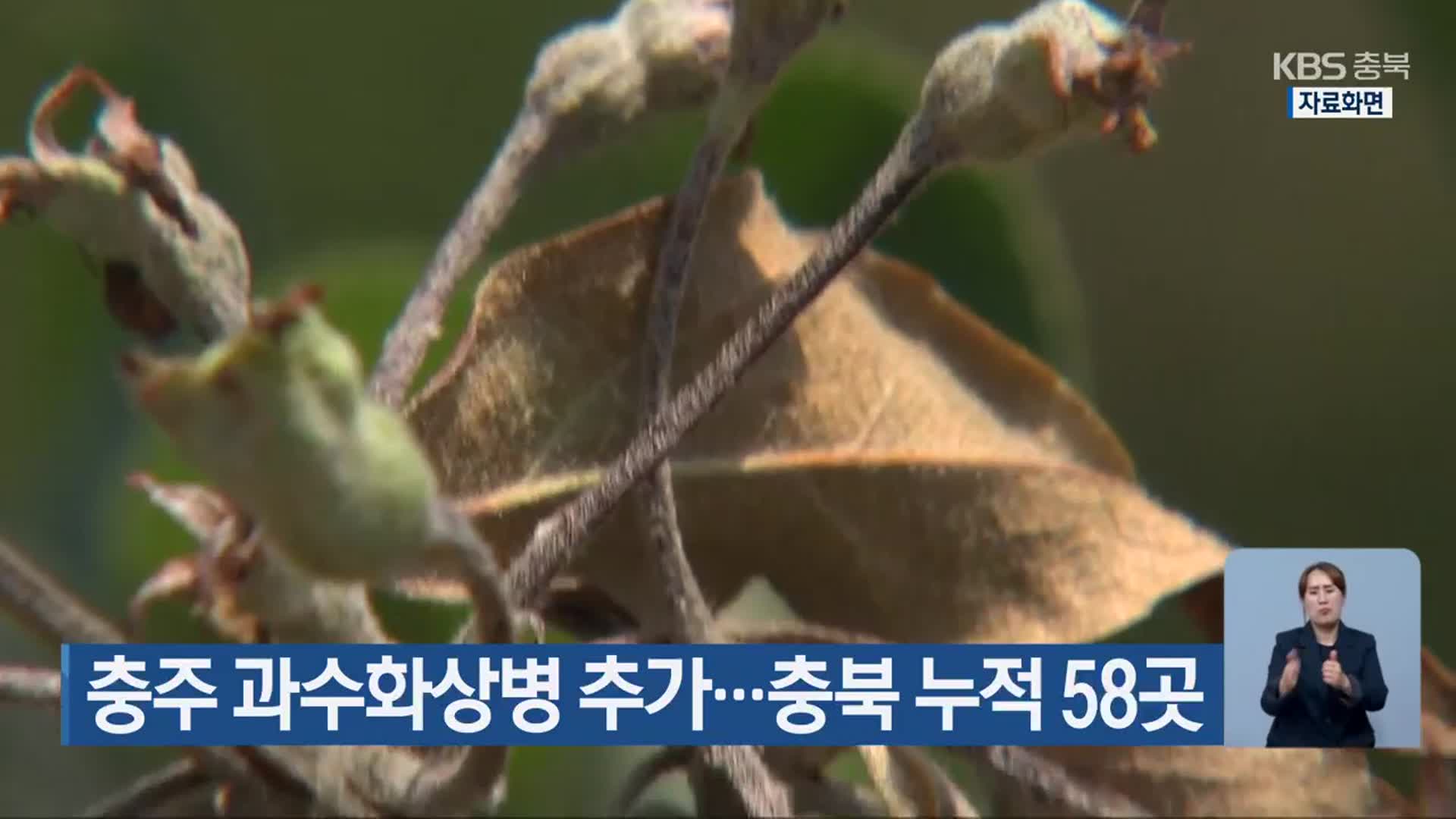 충주 과수화상병 추가…충북 누적 58곳
