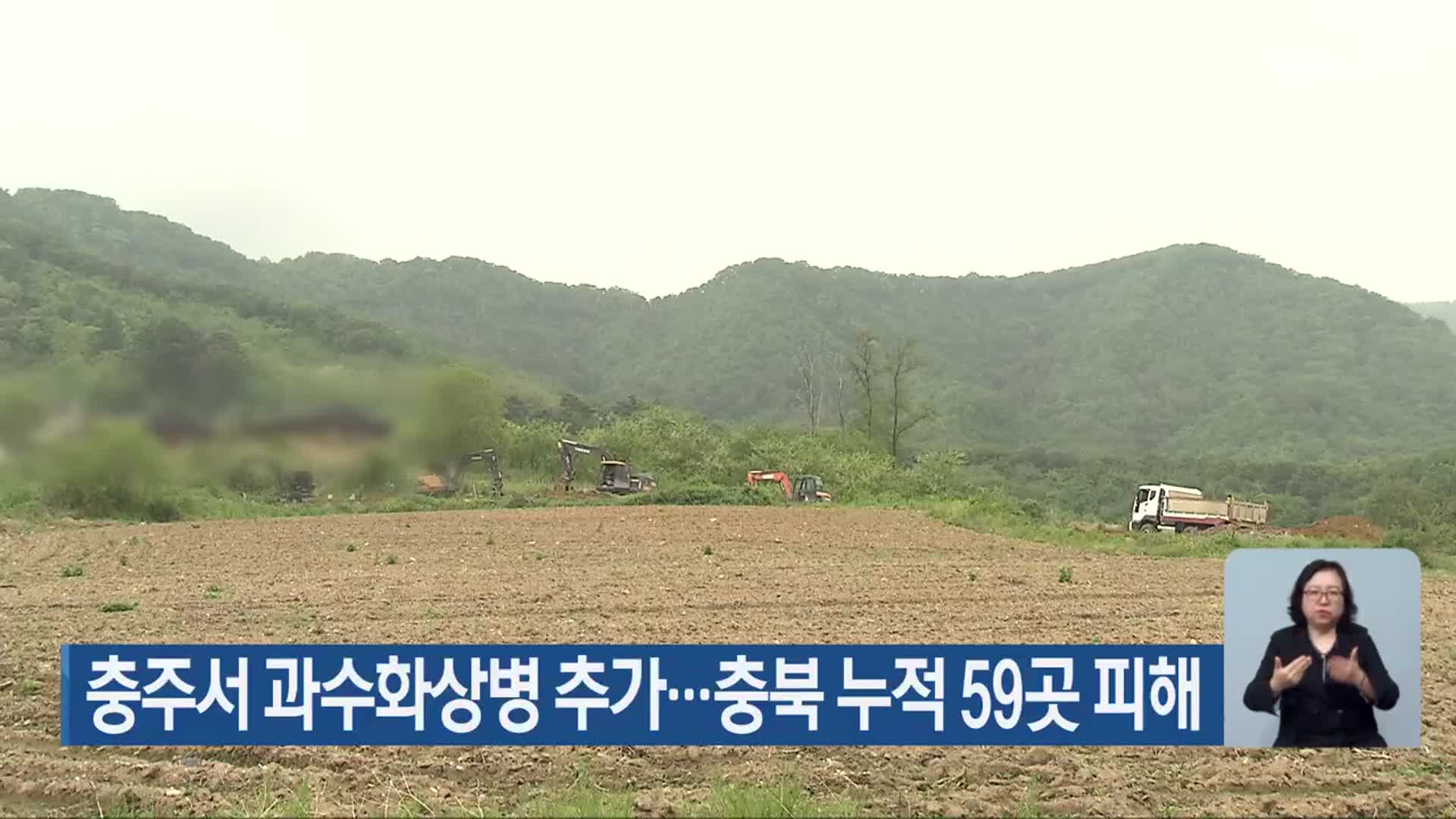 충주서 과수화상병 추가…충북 누적 59곳 피해