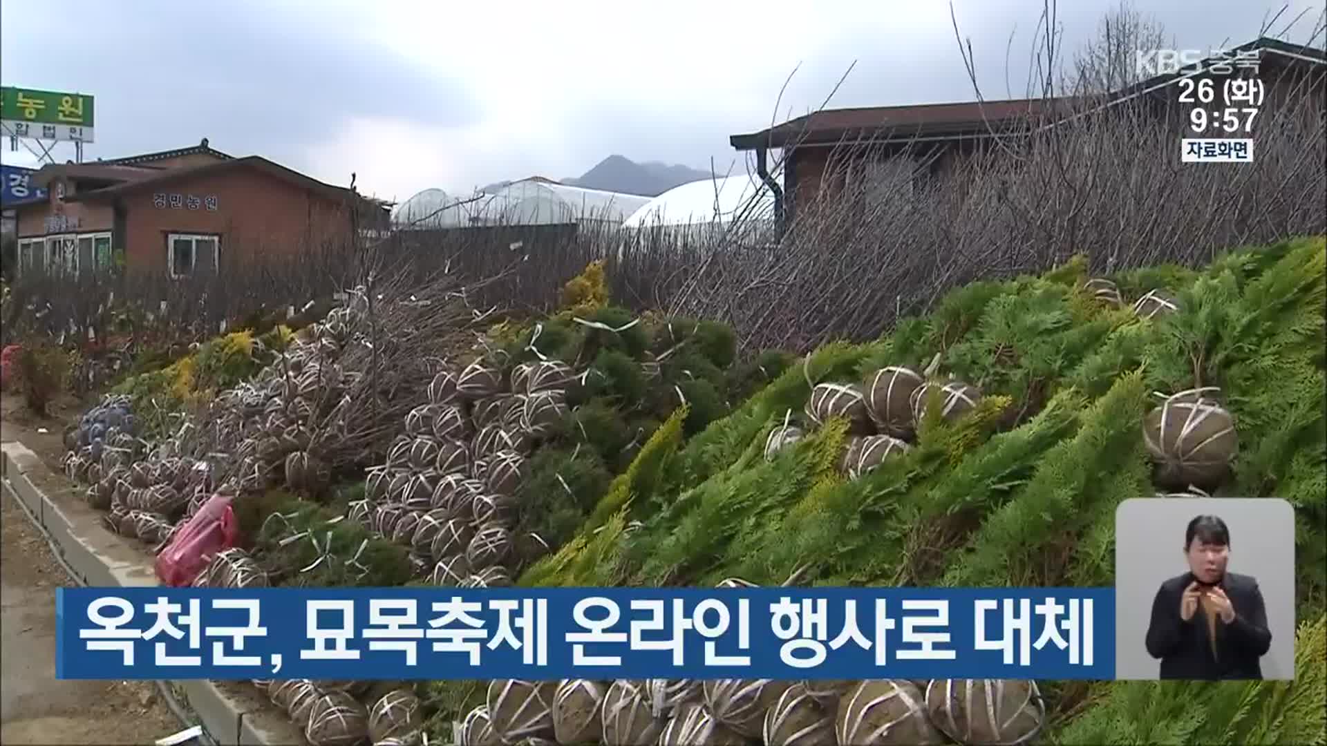 옥천군, 묘목축제 온라인 행사로 대체