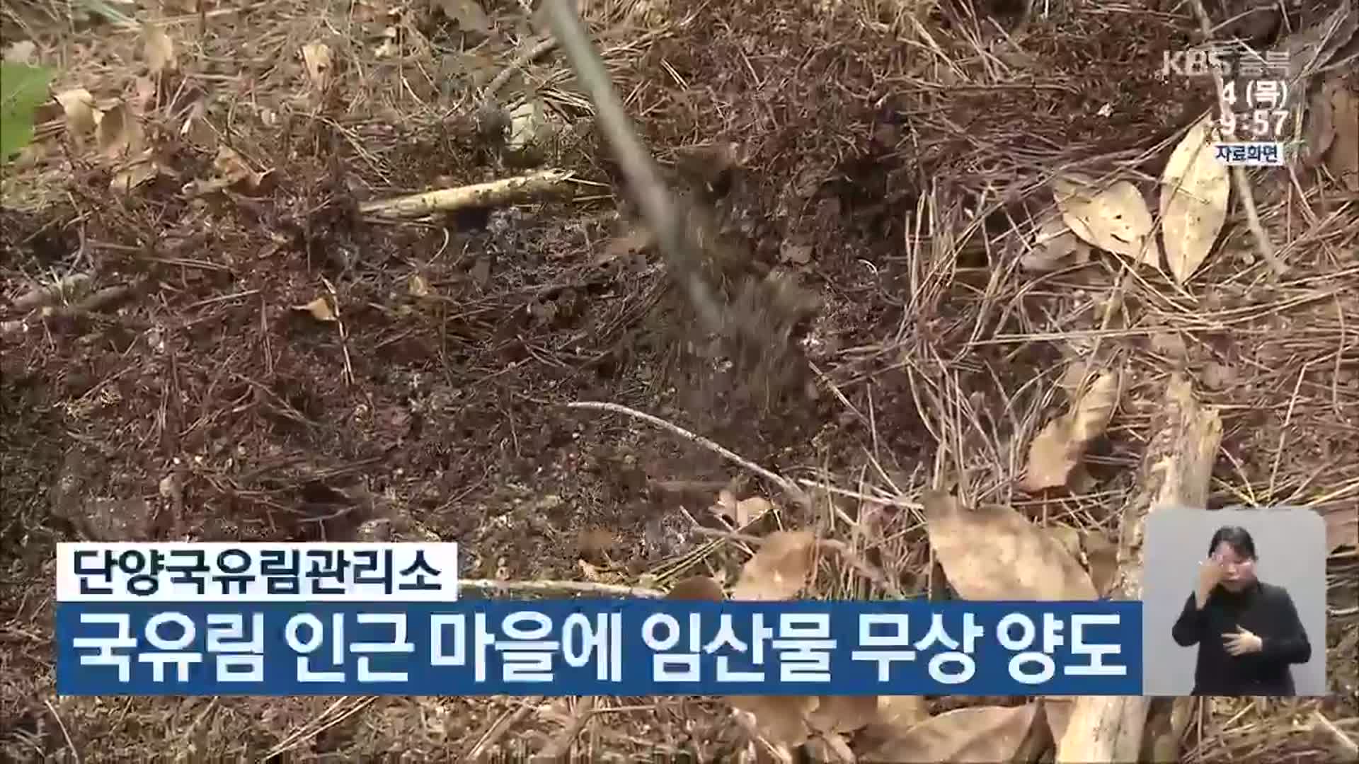 단양국유림관리소, 국유림 인근 마을에 임산물 무상 양도