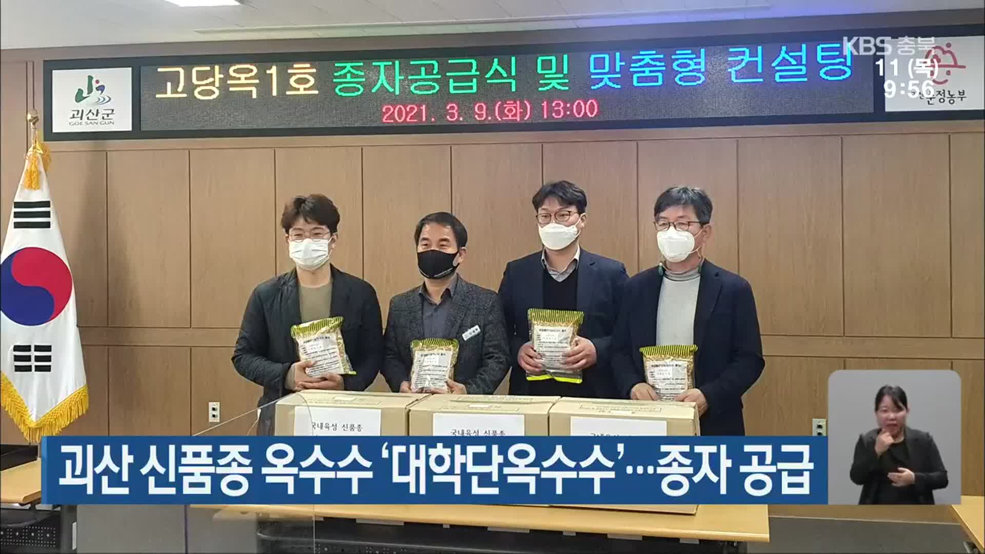 괴산 신품종 옥수수 ‘대학단옥수수’…종자 공급