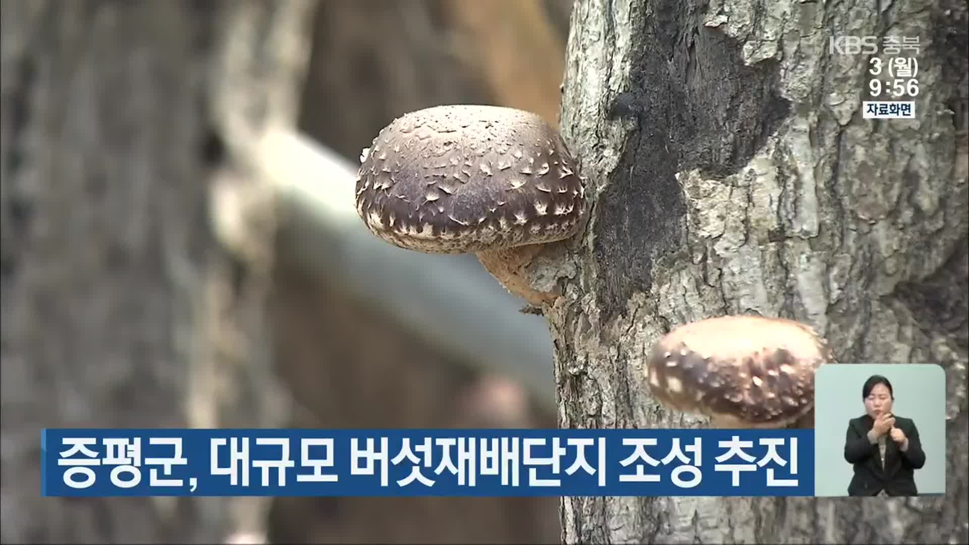 증평군, 대규모 버섯재배단지 조성 추진